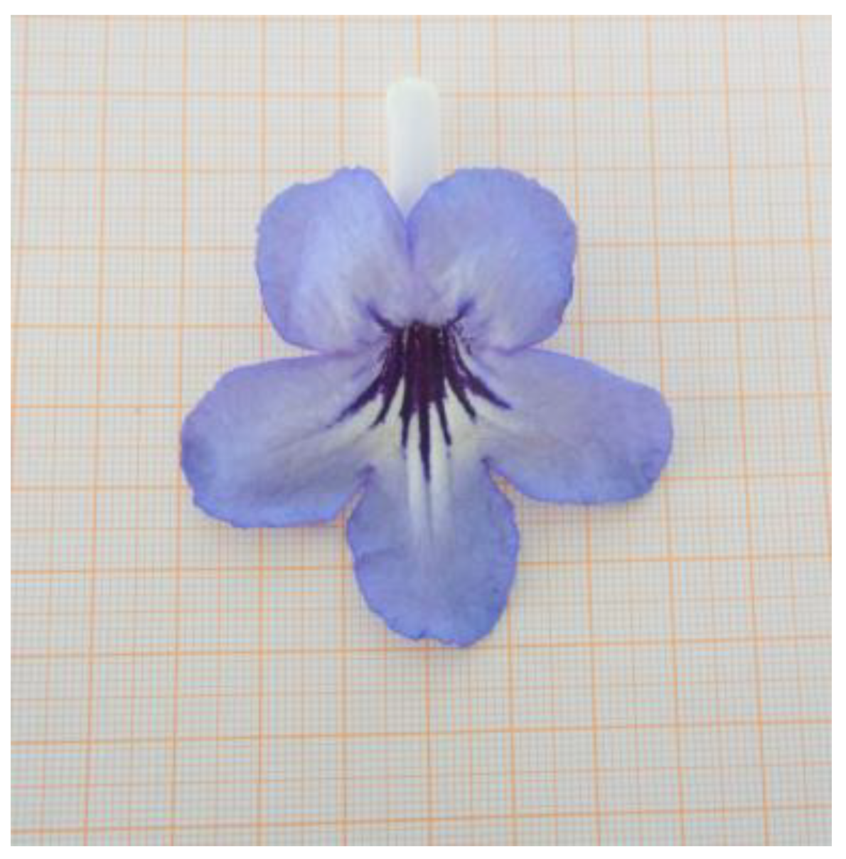 Horticulturae 09 00497 g001