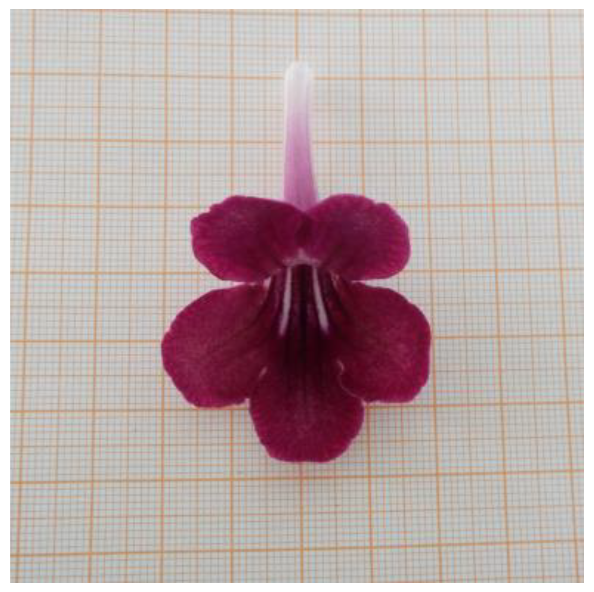 Horticulturae 09 00497 g002