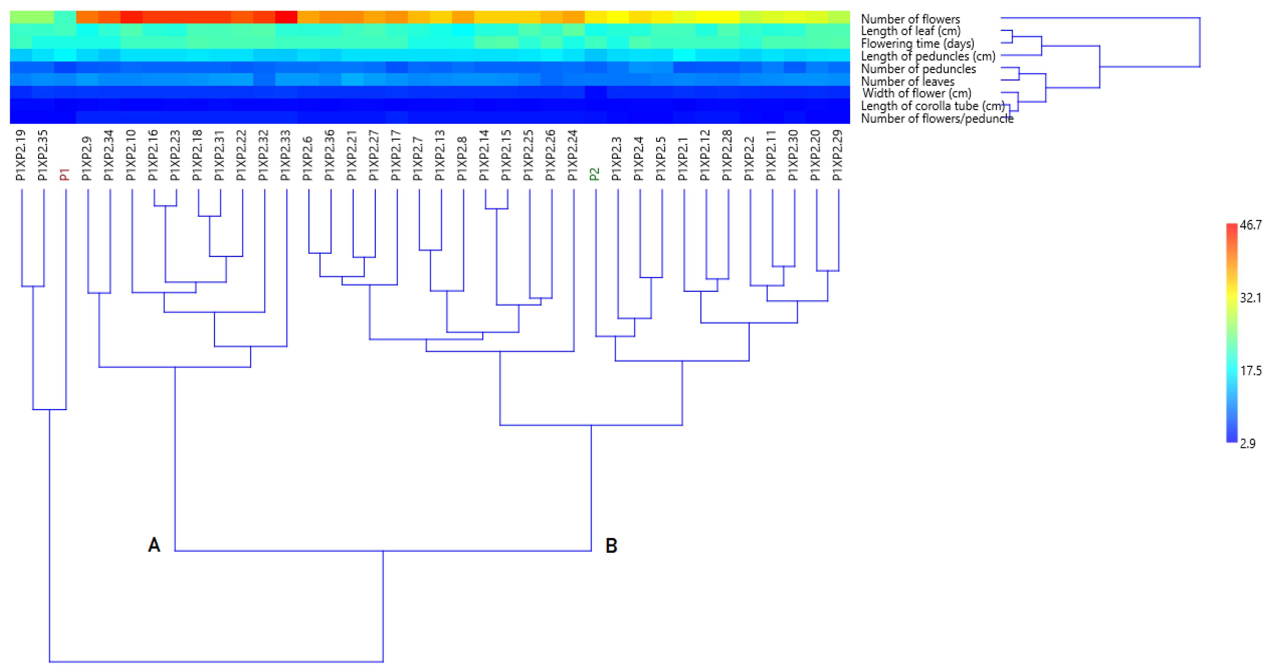 Horticulturae 09 00497 g005