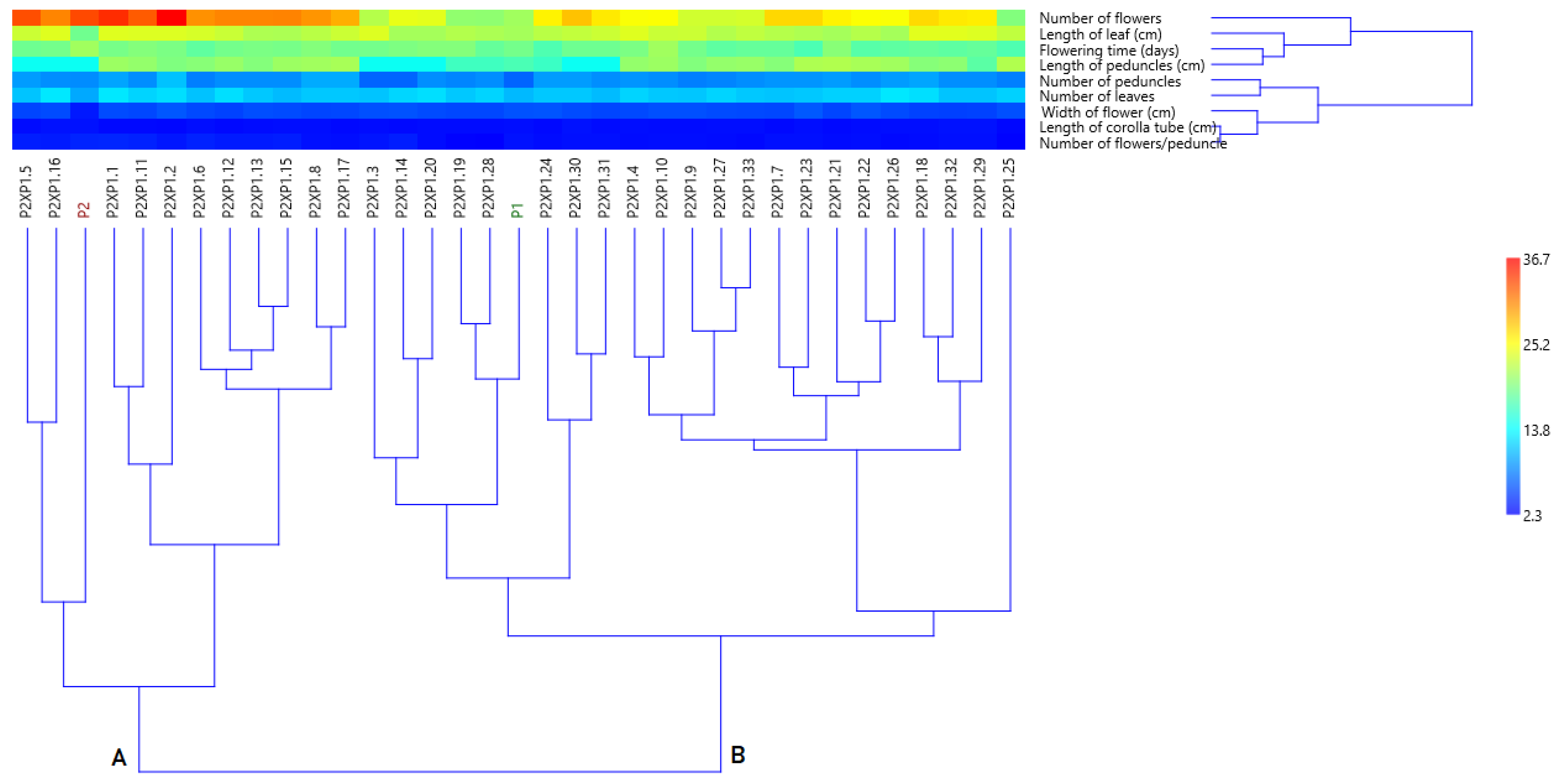 Horticulturae 09 00497 g006