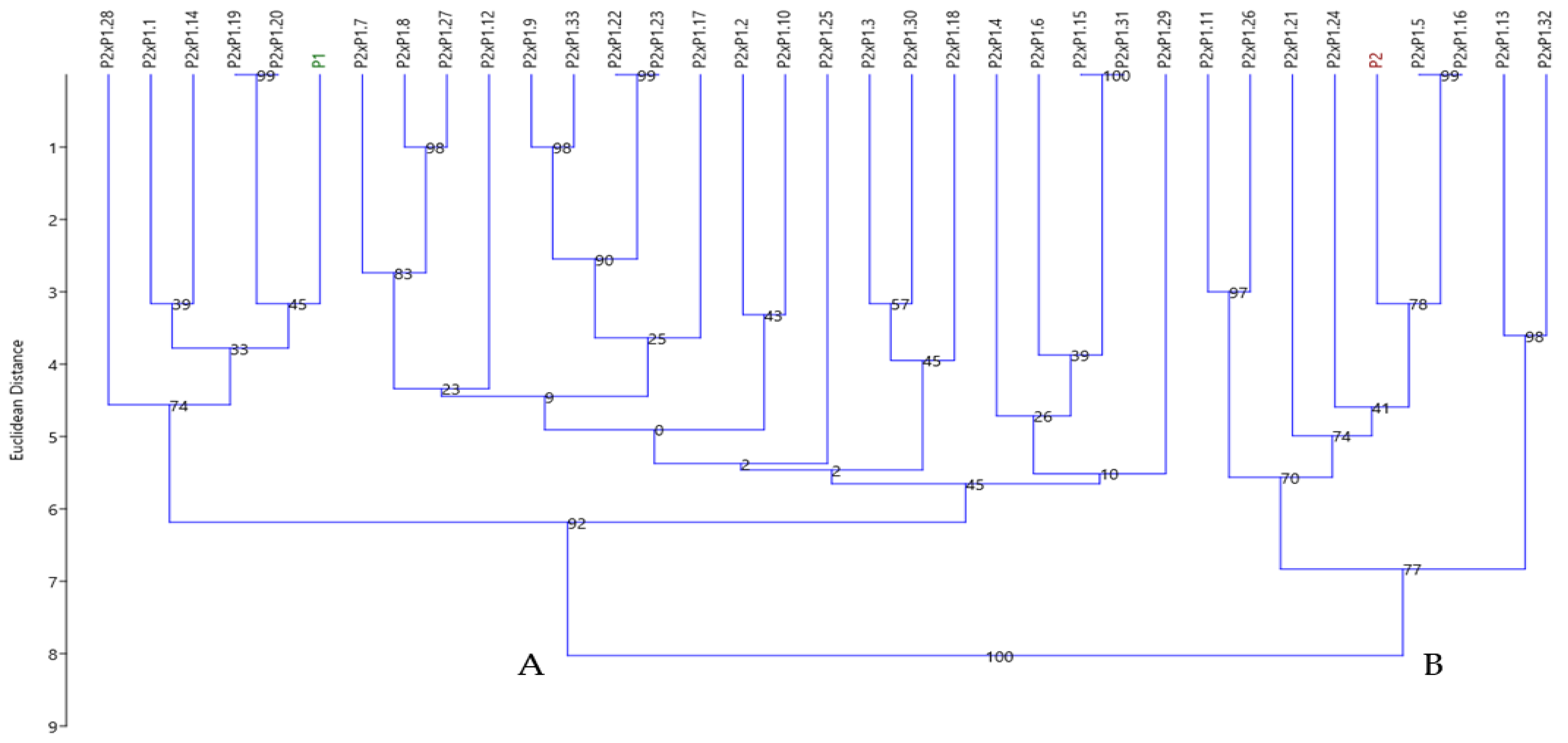 Horticulturae 09 00497 g008