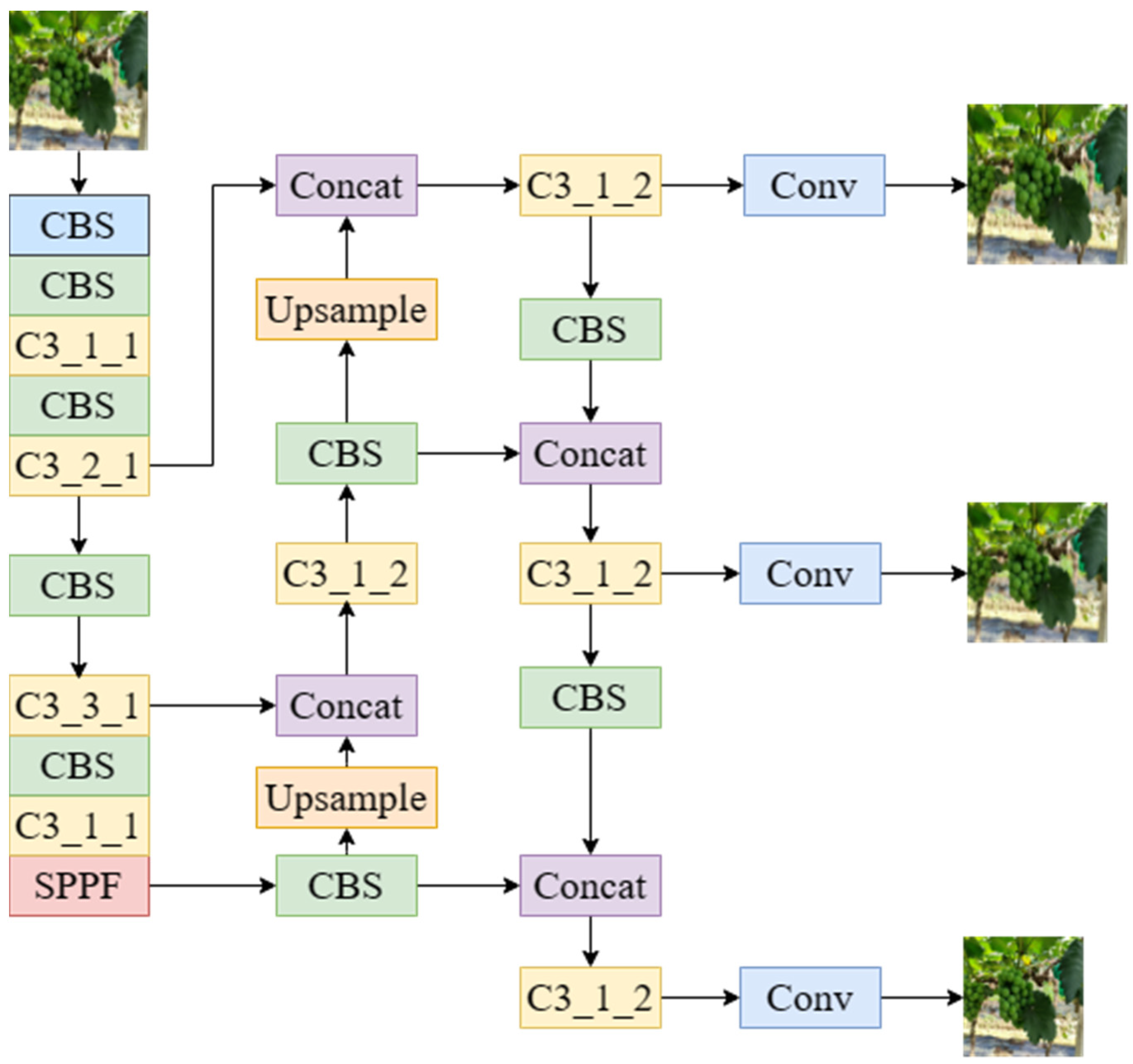 Horticulturae 09 00498 g002 Horticulturae 09 00498 g002
