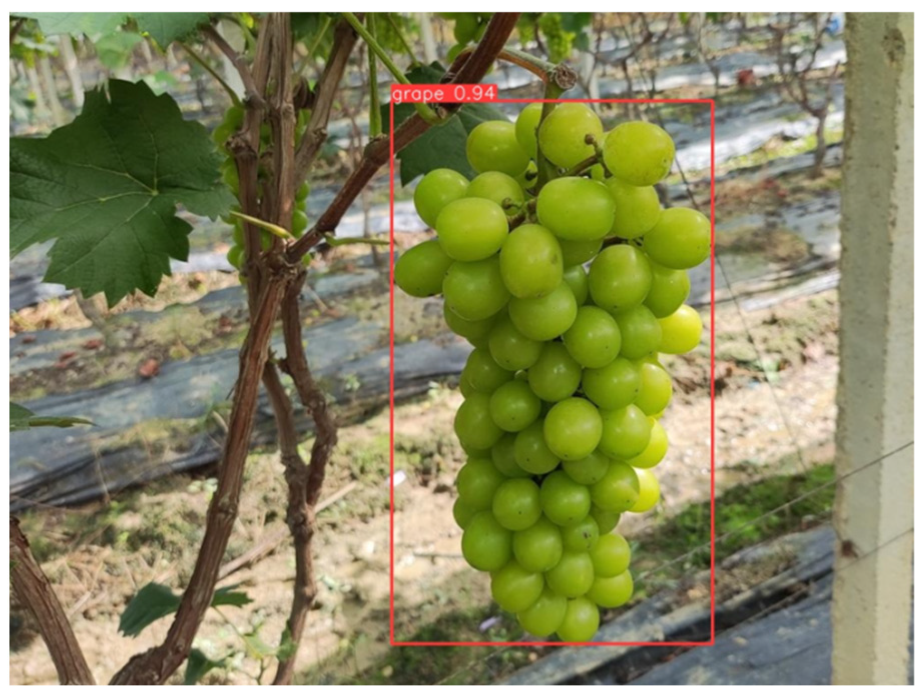 Horticulturae 09 00498 g009 Horticulturae 09 00498 g009