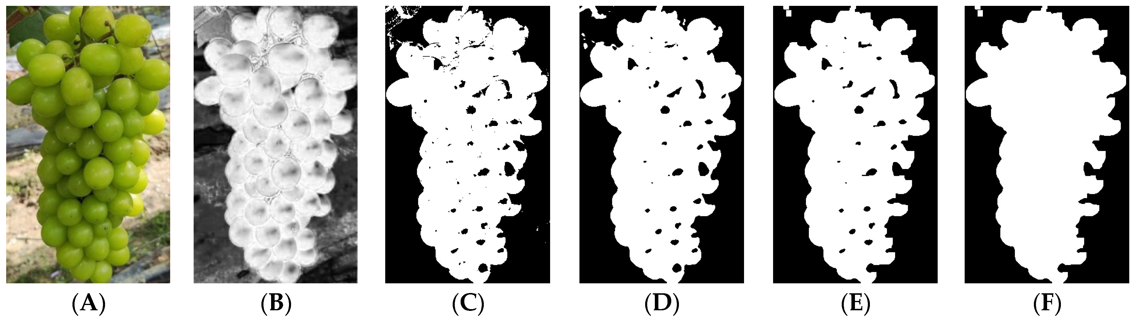 Horticulturae 09 00498 g010 Horticulturae 09 00498 g010