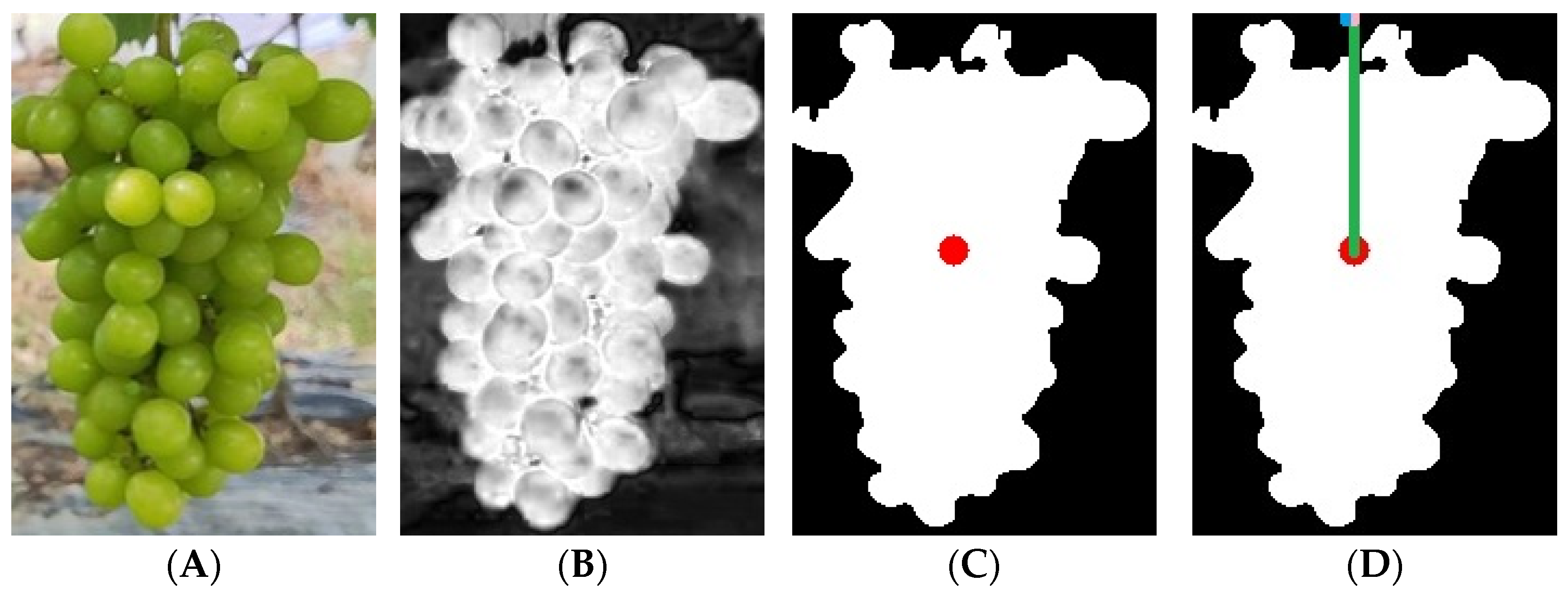 Horticulturae 09 00498 g014 Horticulturae 09 00498 g014