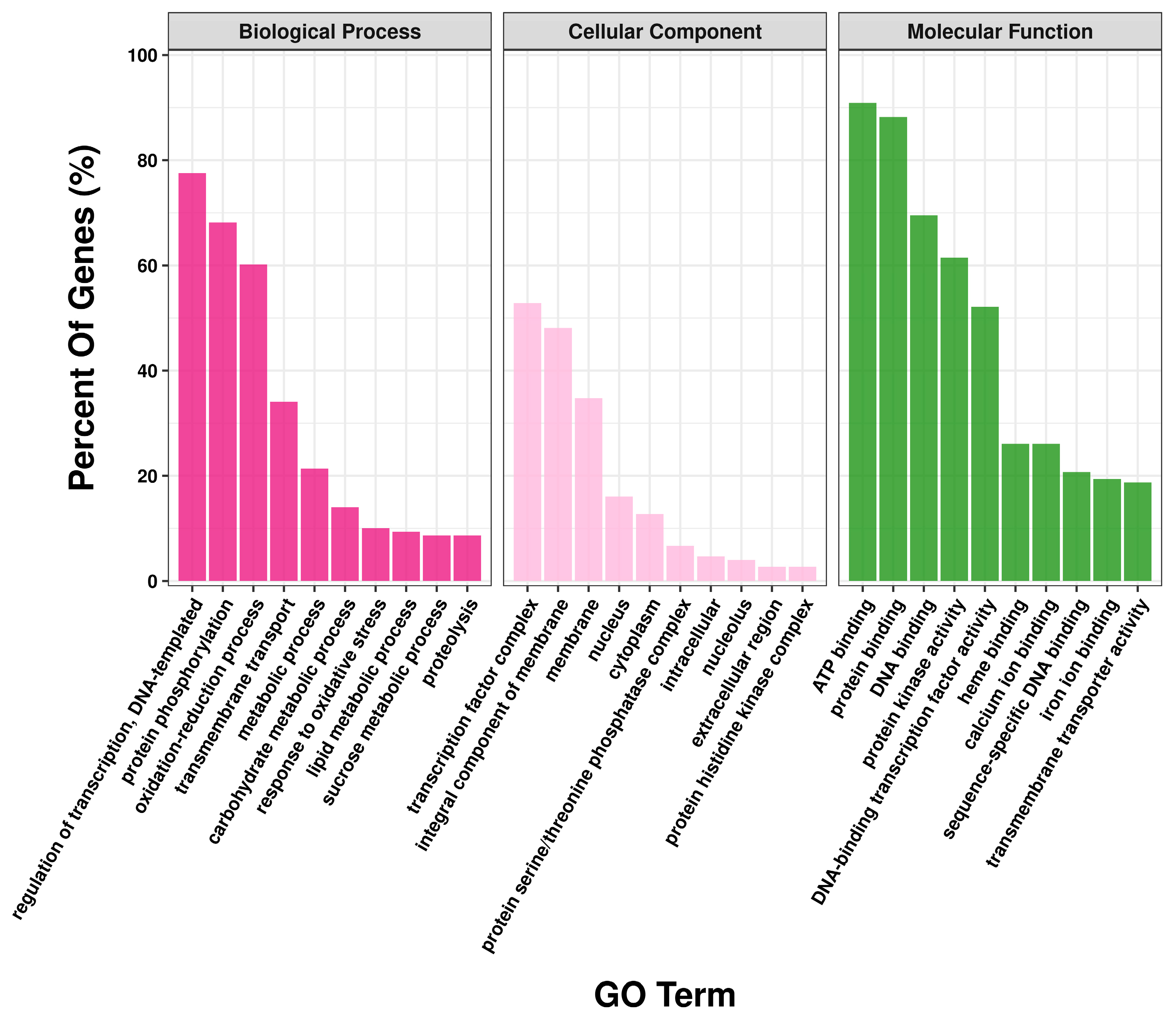 Horticulturae 09 00500 g004 Horticulturae 09 00500 g004