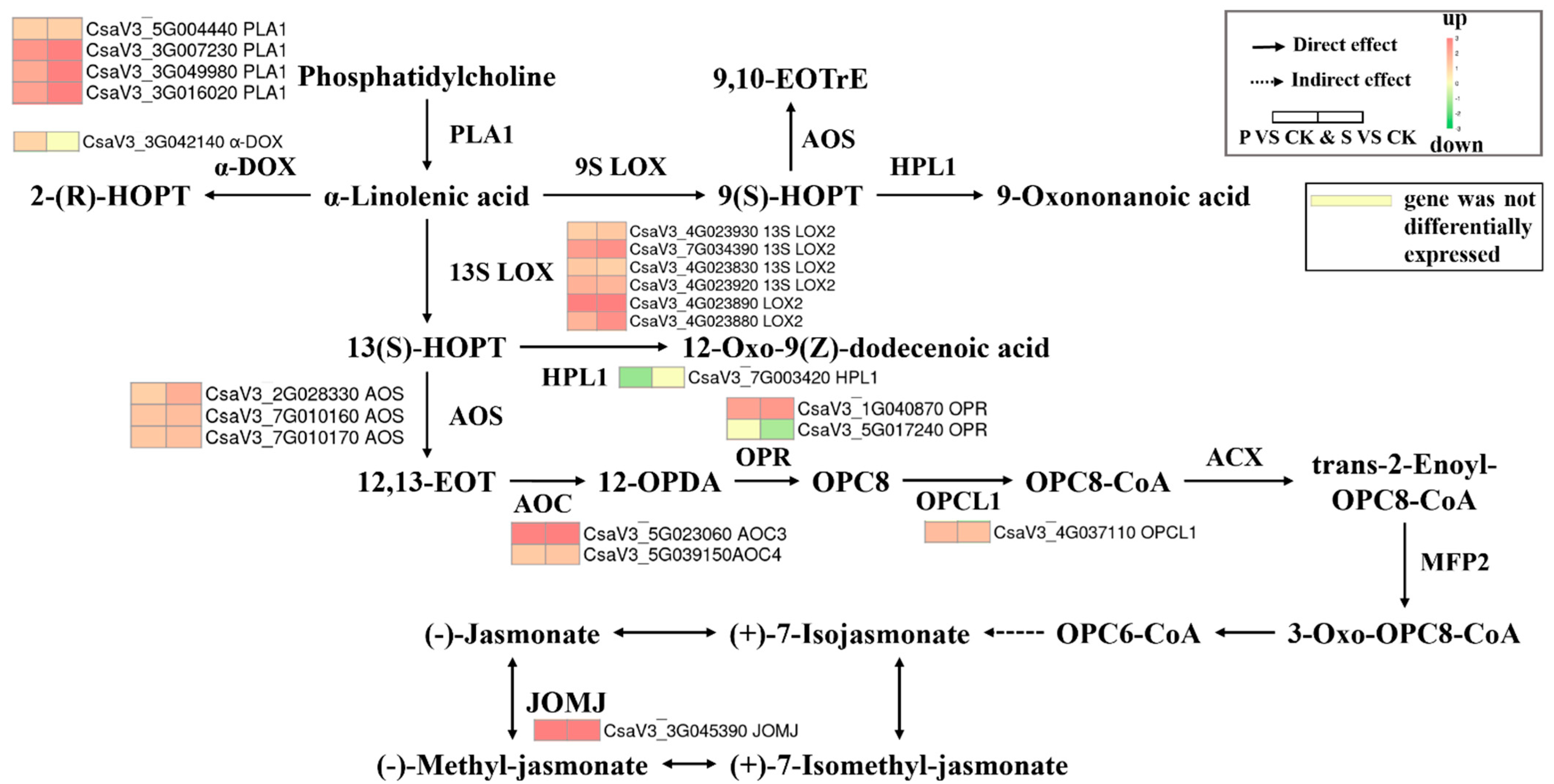 Horticulturae 09 00500 g006 Horticulturae 09 00500 g006