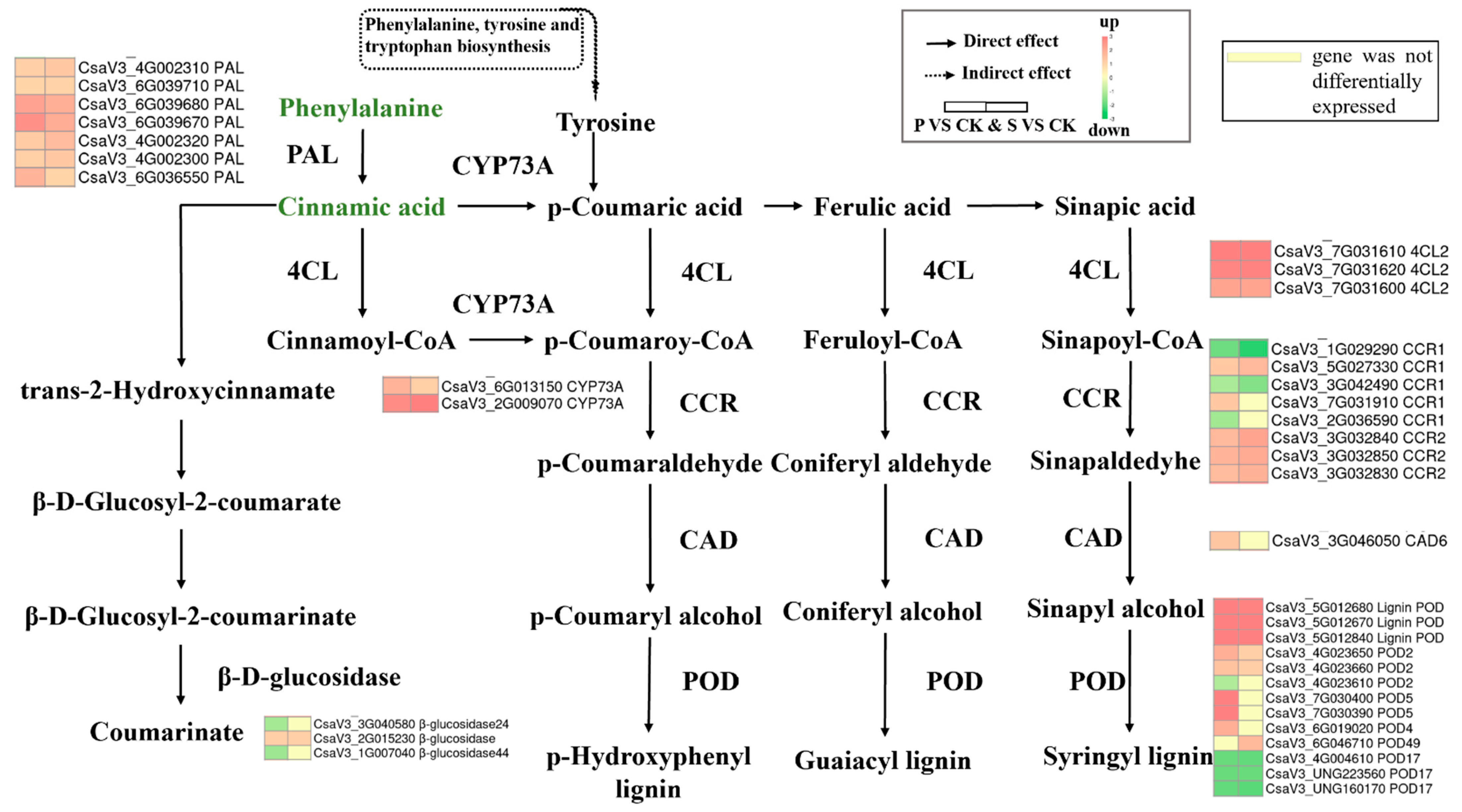 Horticulturae 09 00500 g008 Horticulturae 09 00500 g008