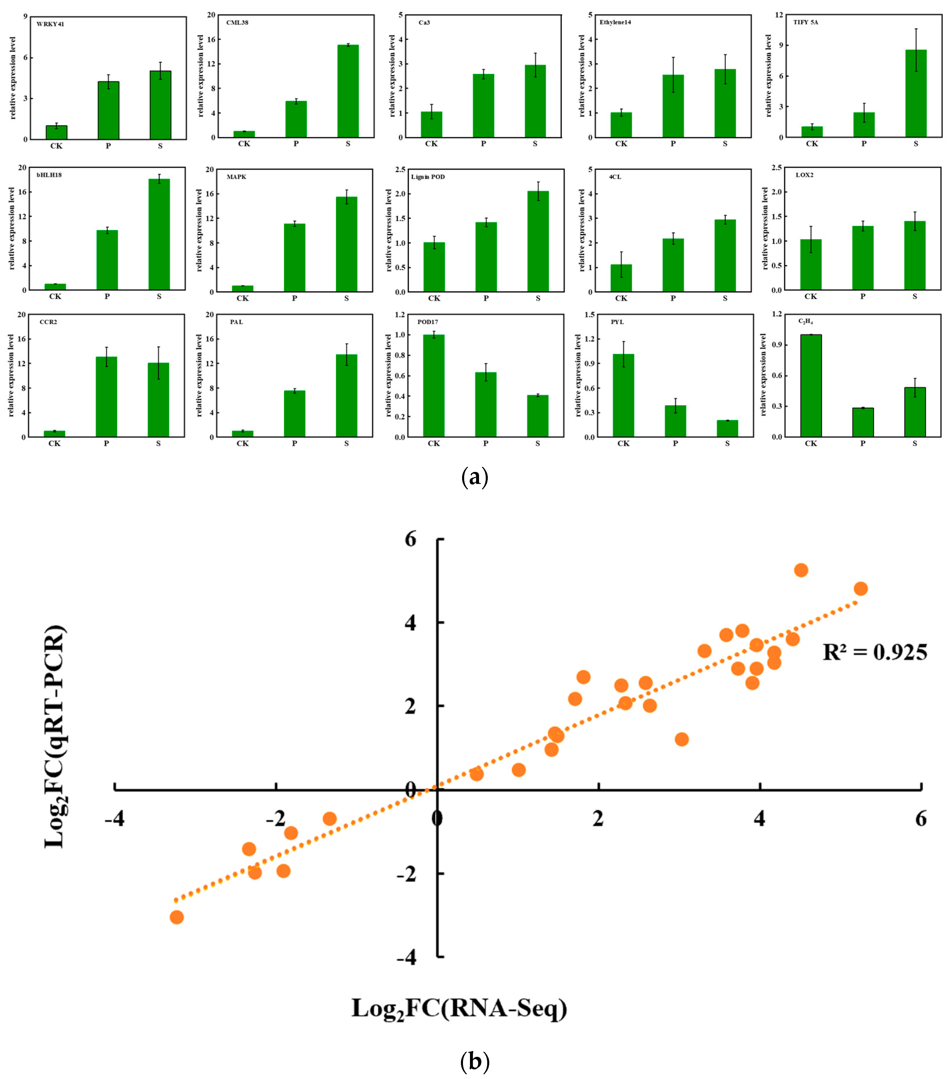 Horticulturae 09 00500 g009 Horticulturae 09 00500 g009