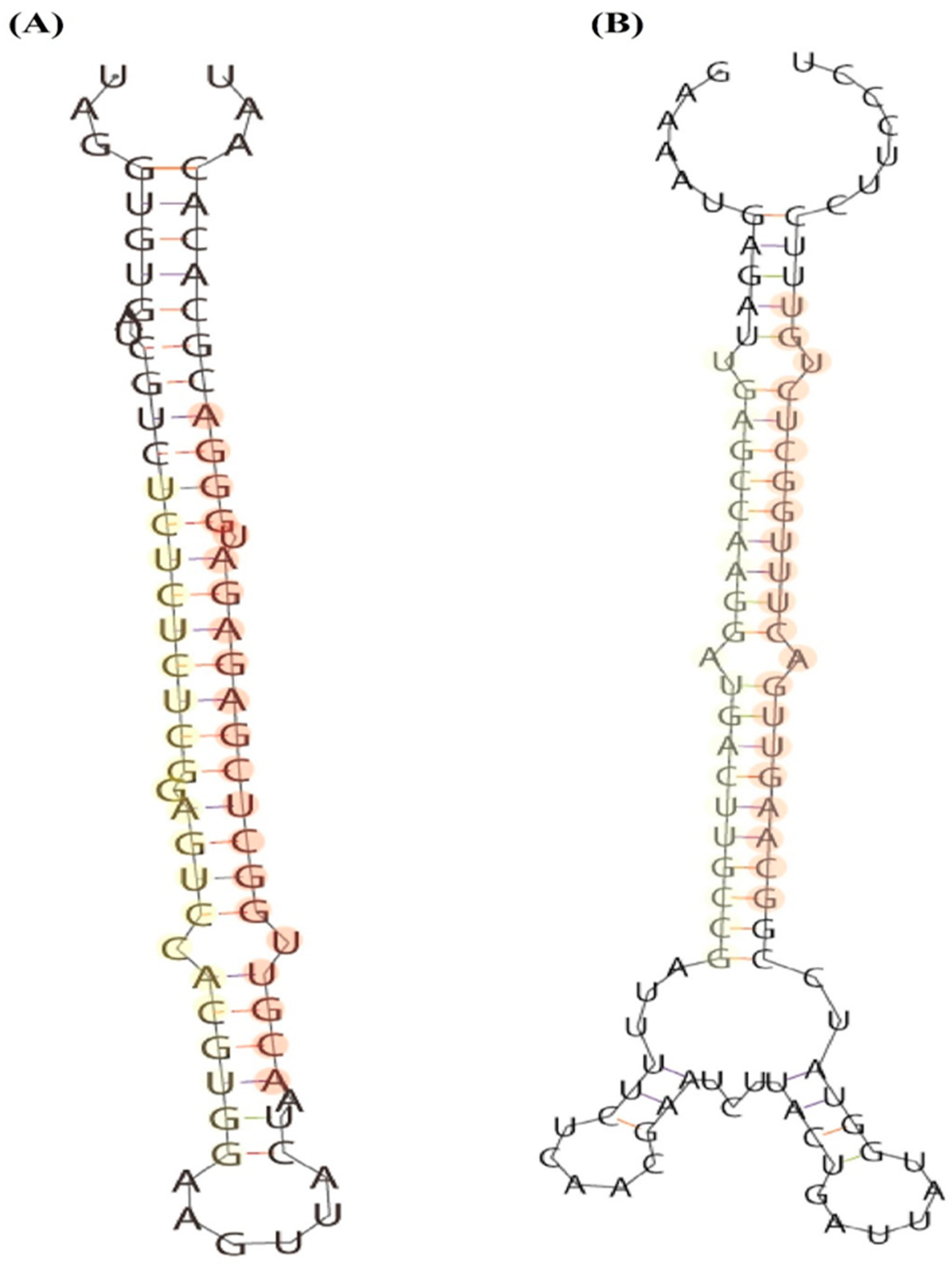 Horticulturae 09 00515 g004