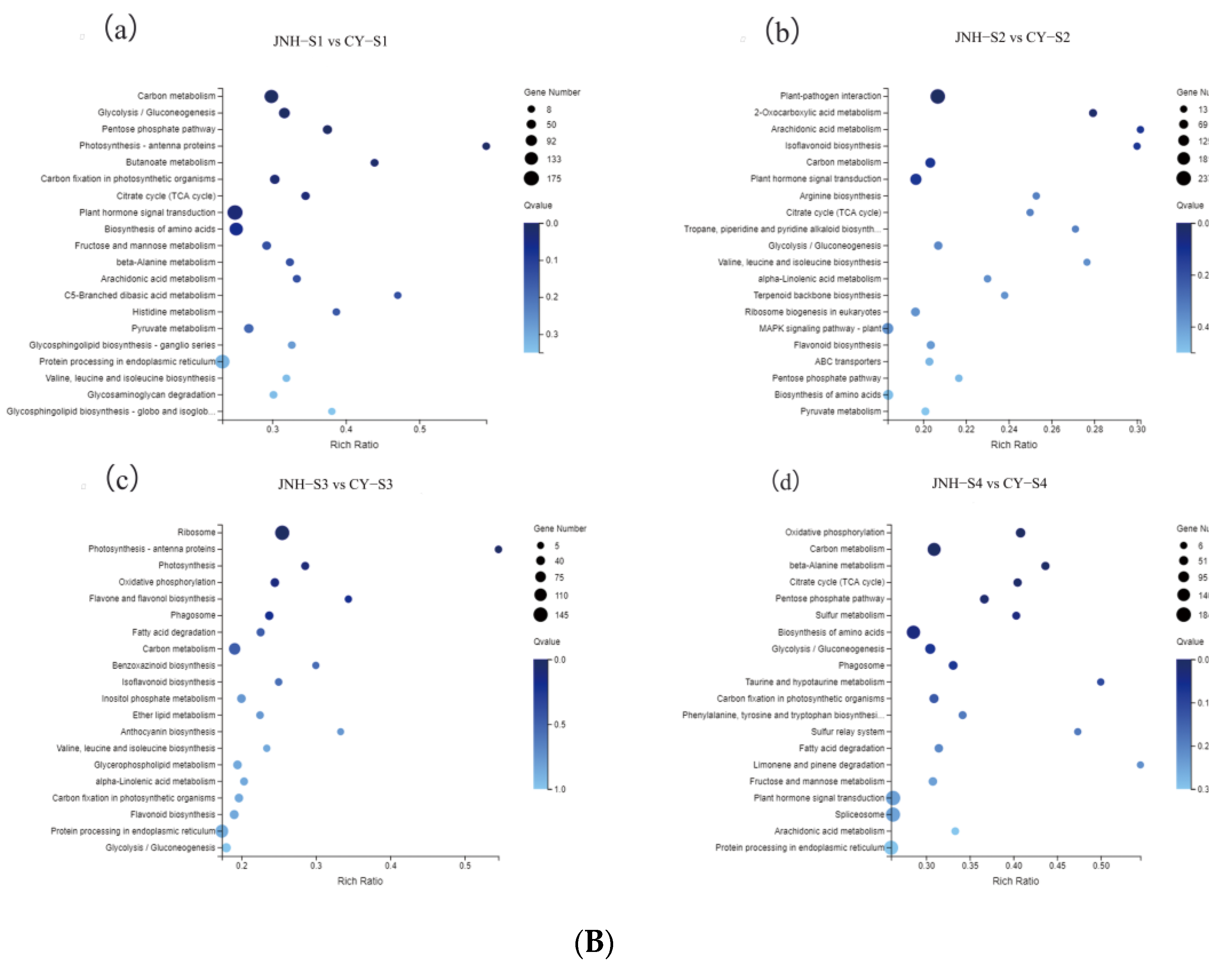 Horticulturae 09 00516 g001b Horticulturae 09 00516 g001b