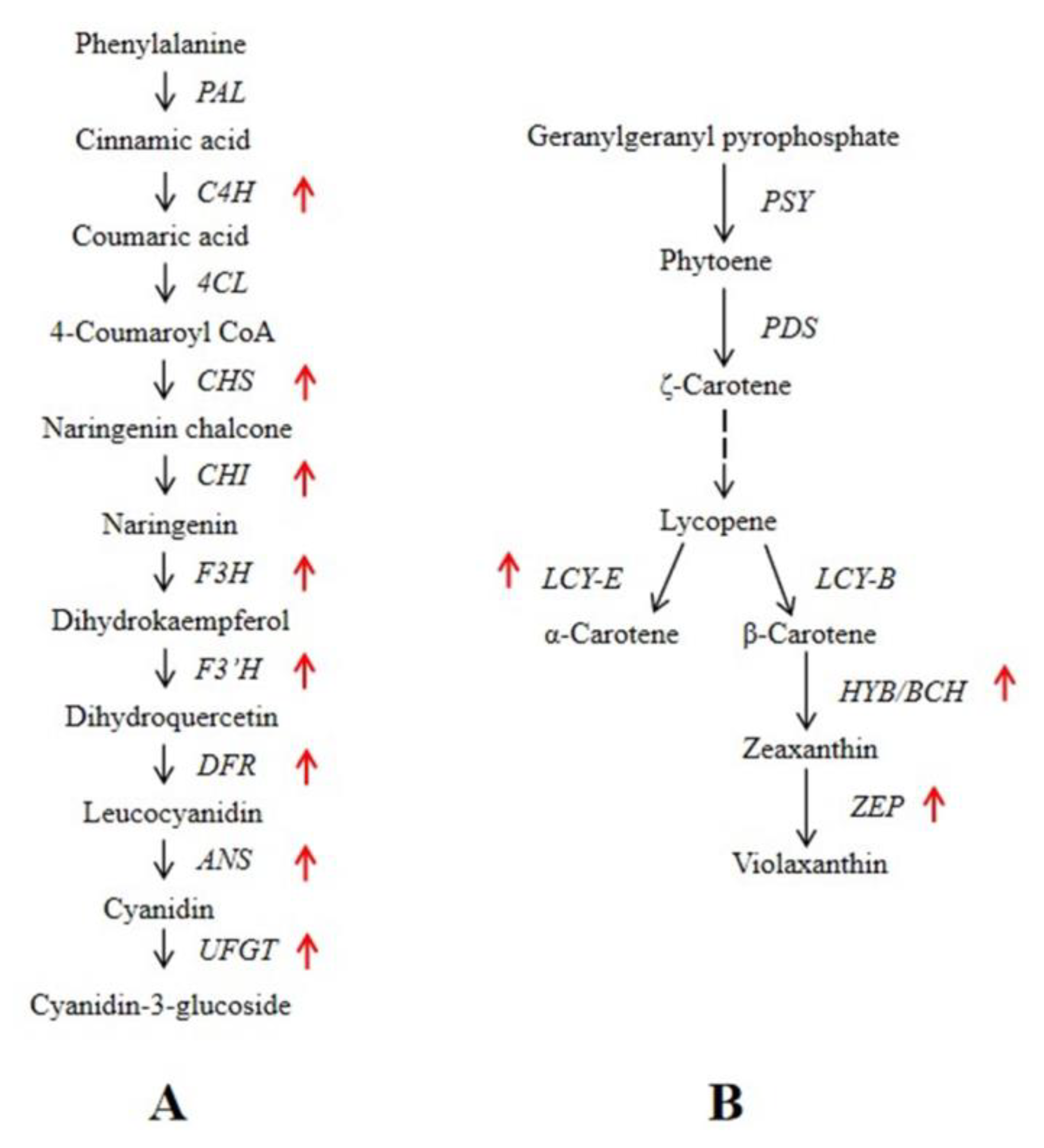 Horticulturae 09 00516 g006 Horticulturae 09 00516 g006