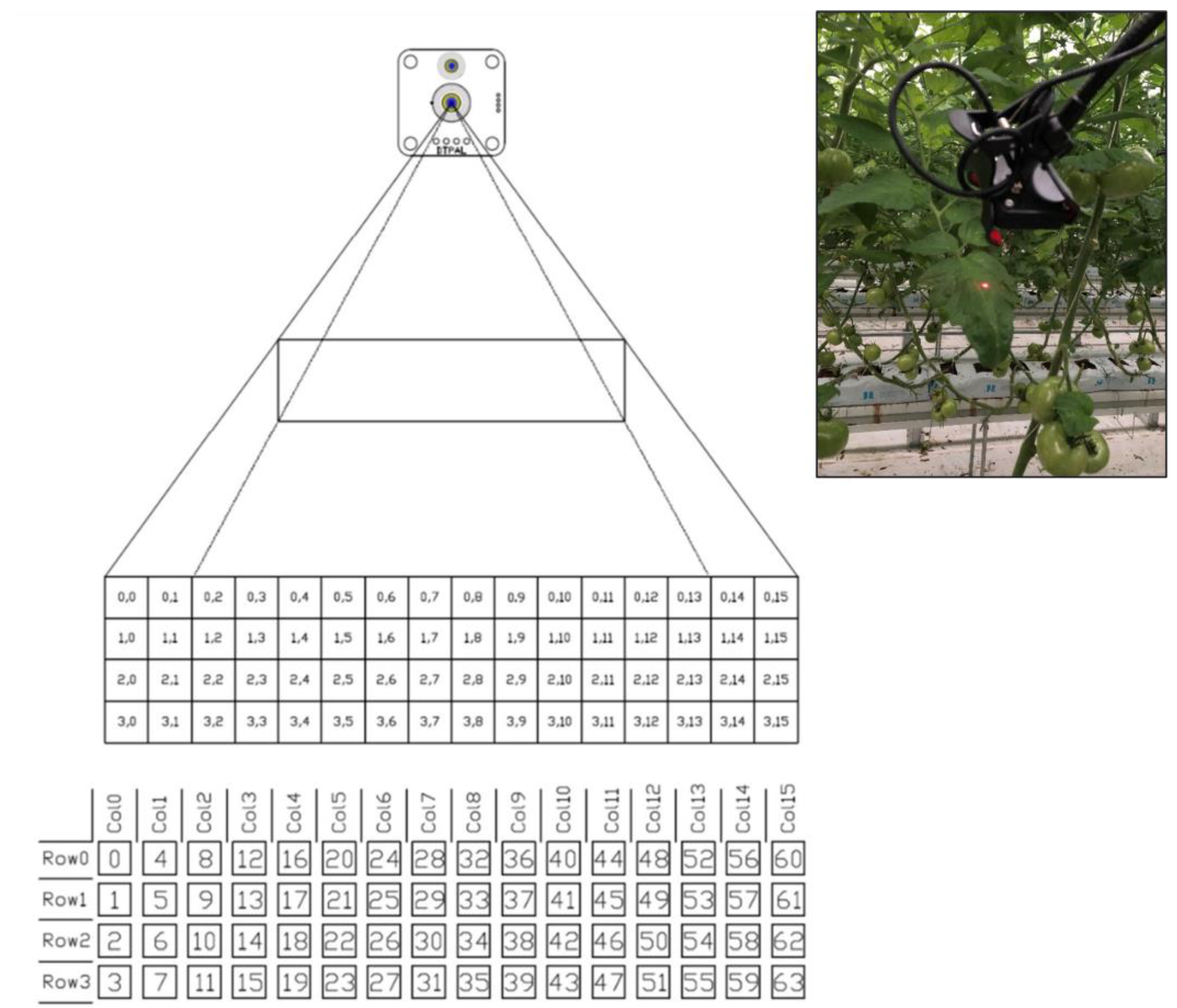 Horticulturae 09 00518 g003 Horticulturae 09 00518 g003