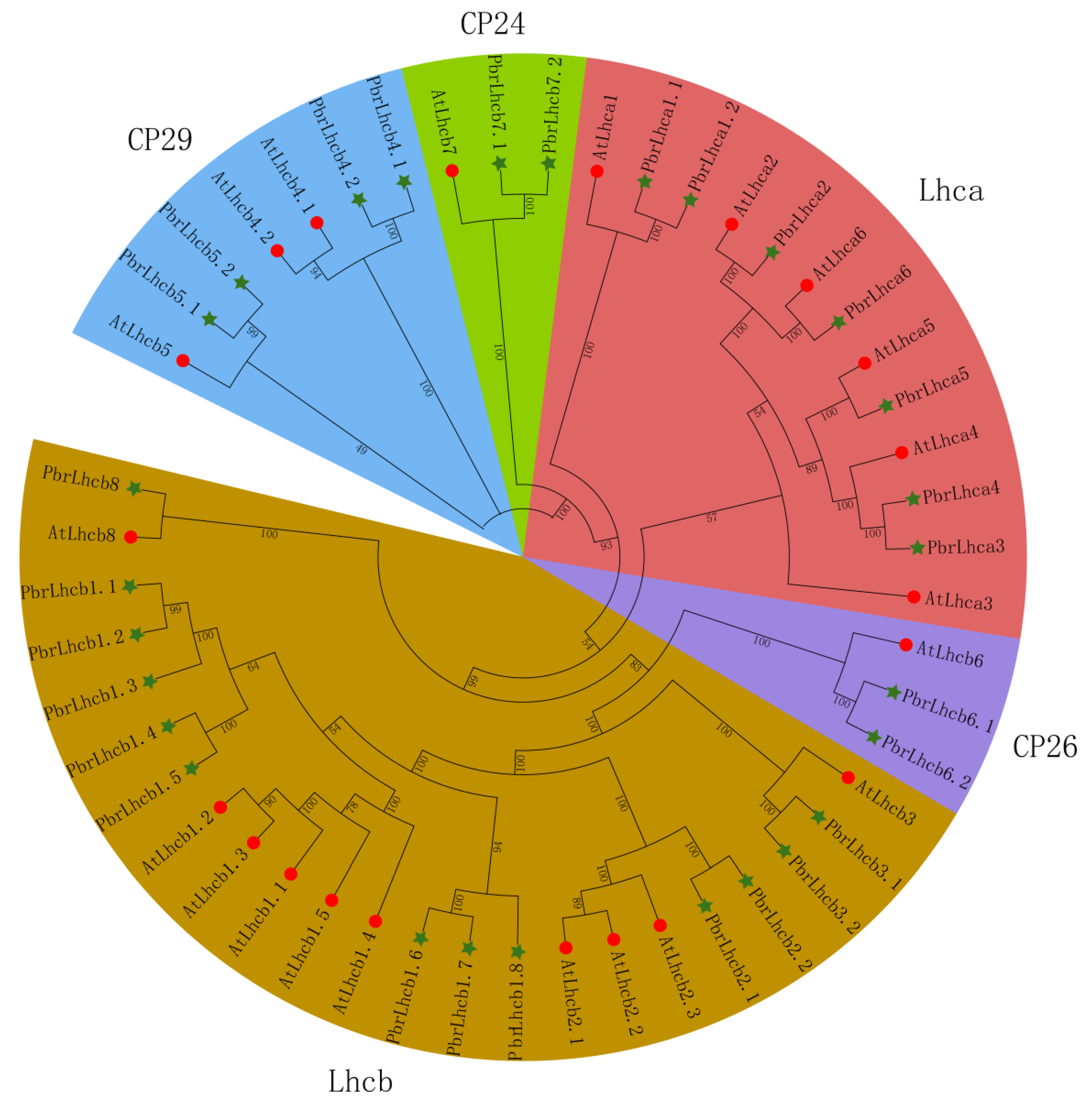 Horticulturae 09 00522 g002
