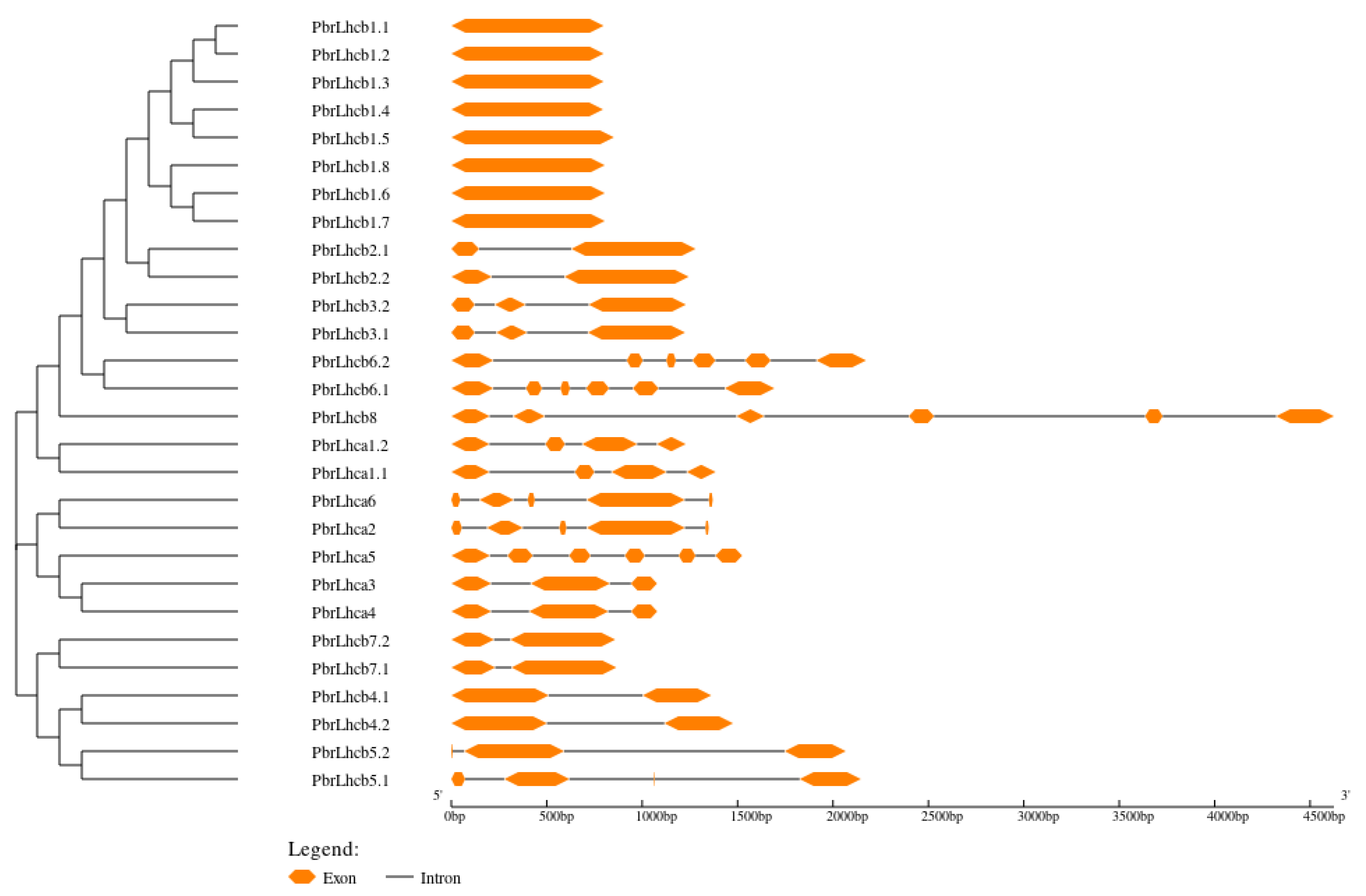Horticulturae 09 00522 g003