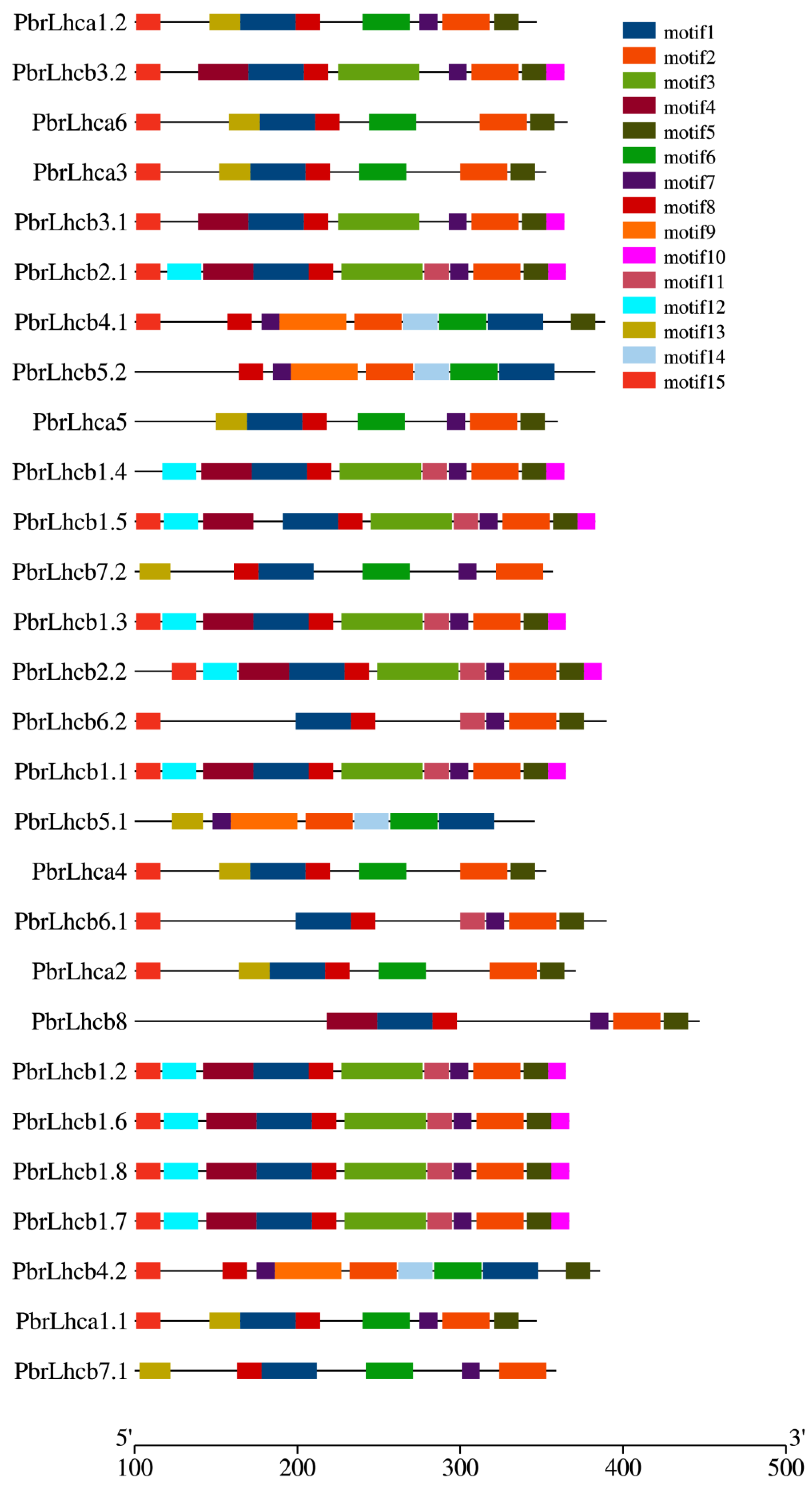 Horticulturae 09 00522 g004