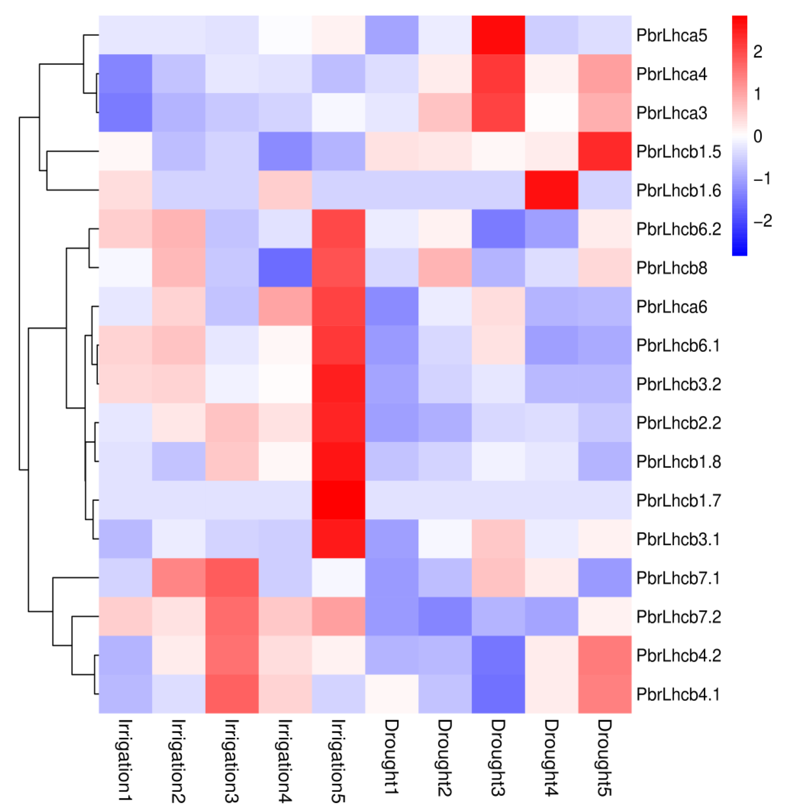 Horticulturae 09 00522 g006