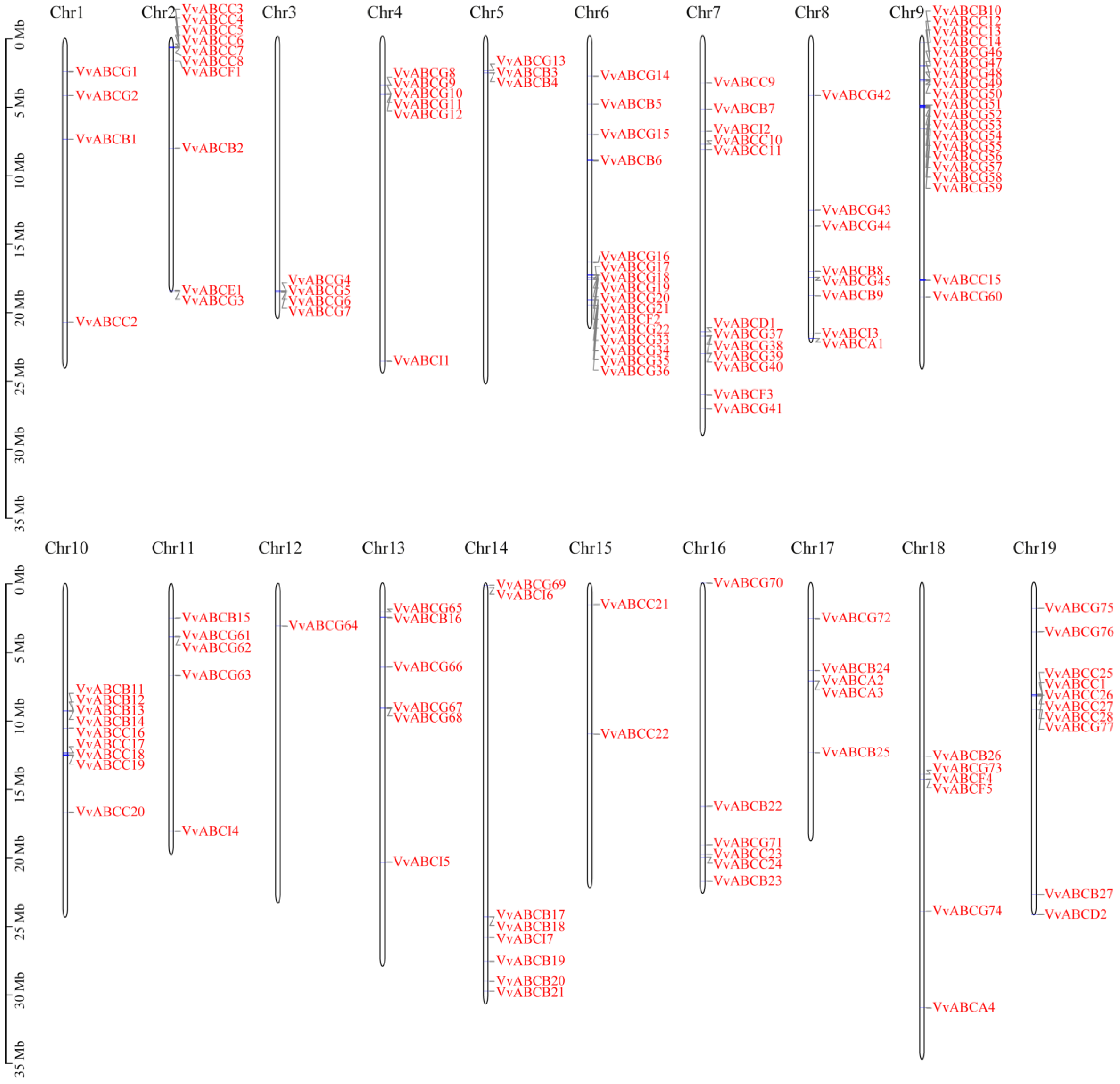 Horticulturae 09 00532 g001 Horticulturae 09 00532 g001