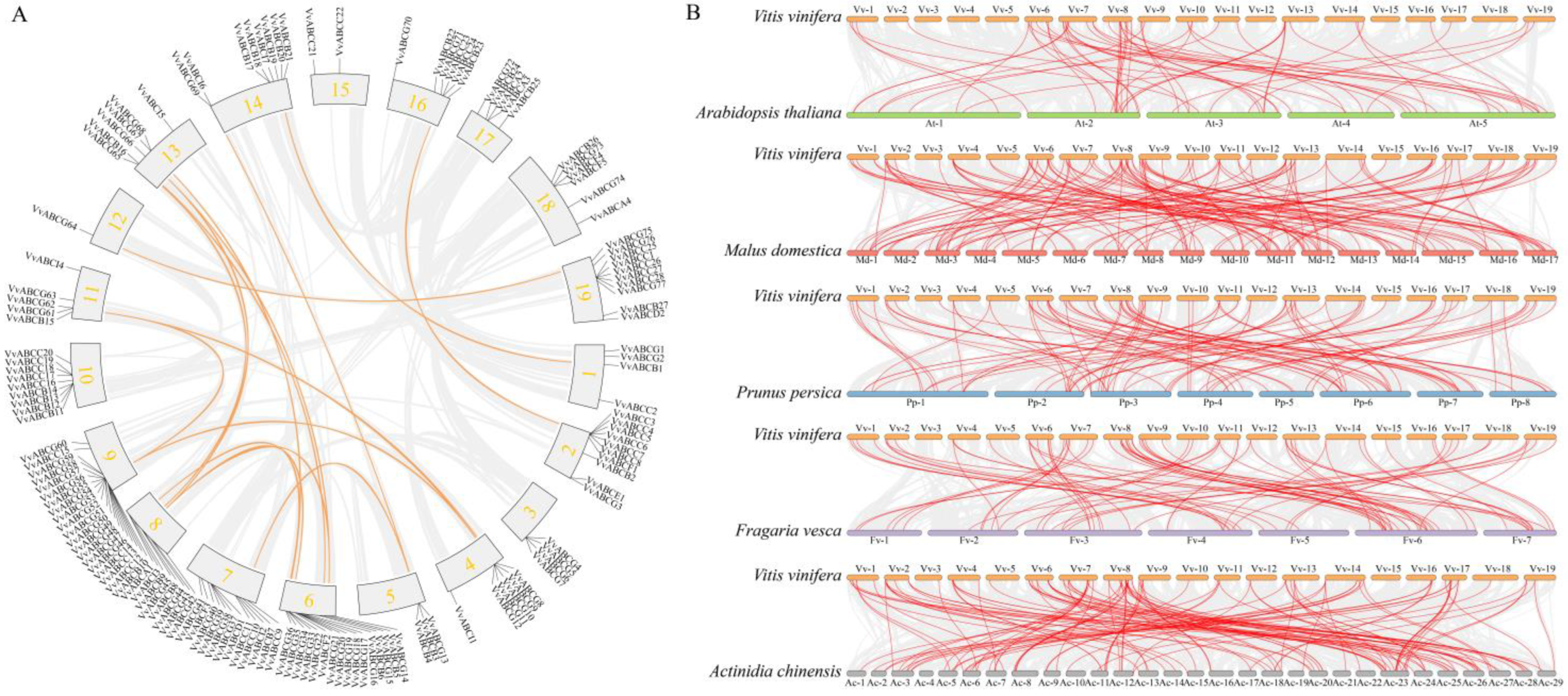 Horticulturae 09 00532 g002 Horticulturae 09 00532 g002
