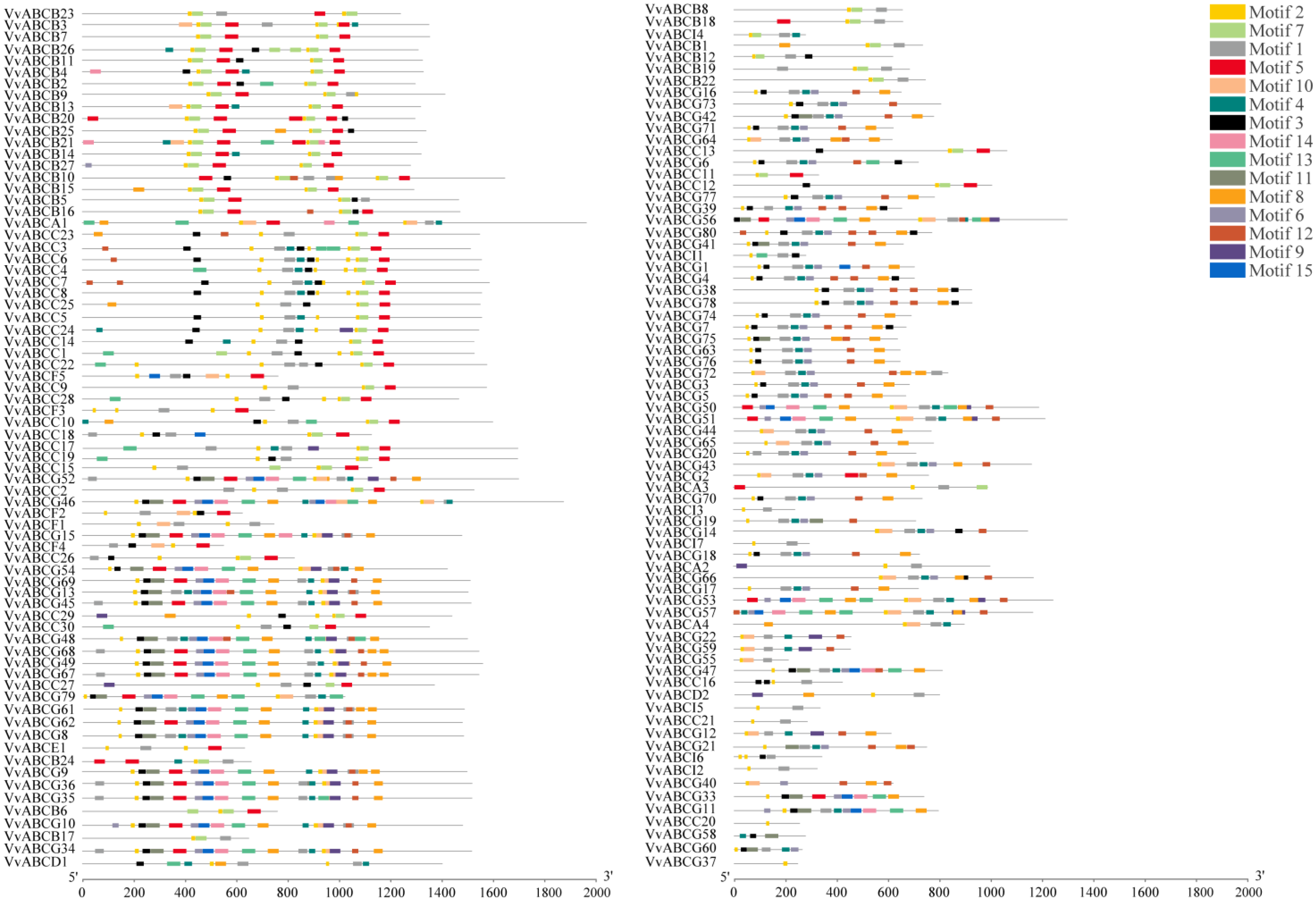 Horticulturae 09 00532 g003 Horticulturae 09 00532 g003