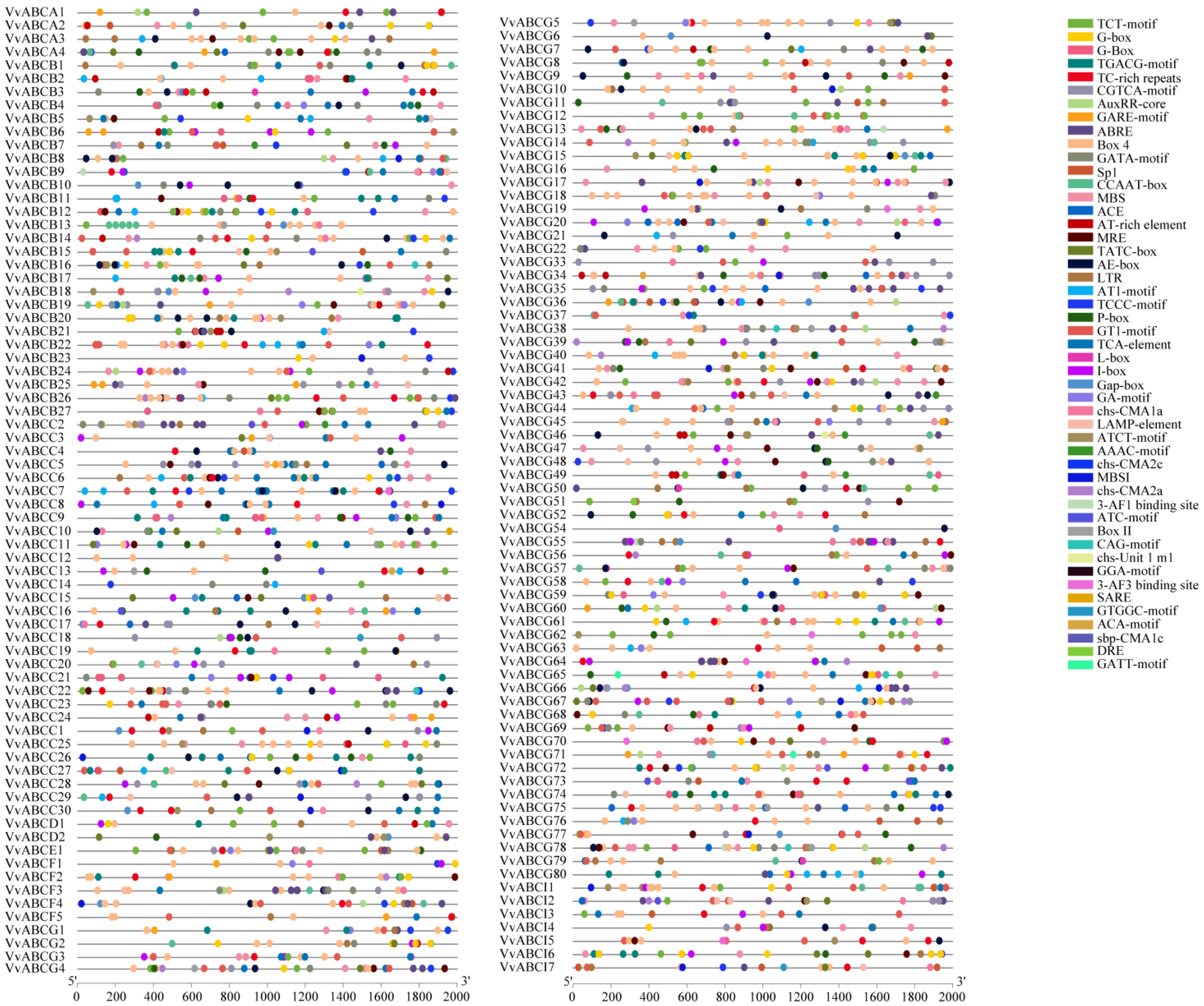 Horticulturae 09 00532 g005 Horticulturae 09 00532 g005