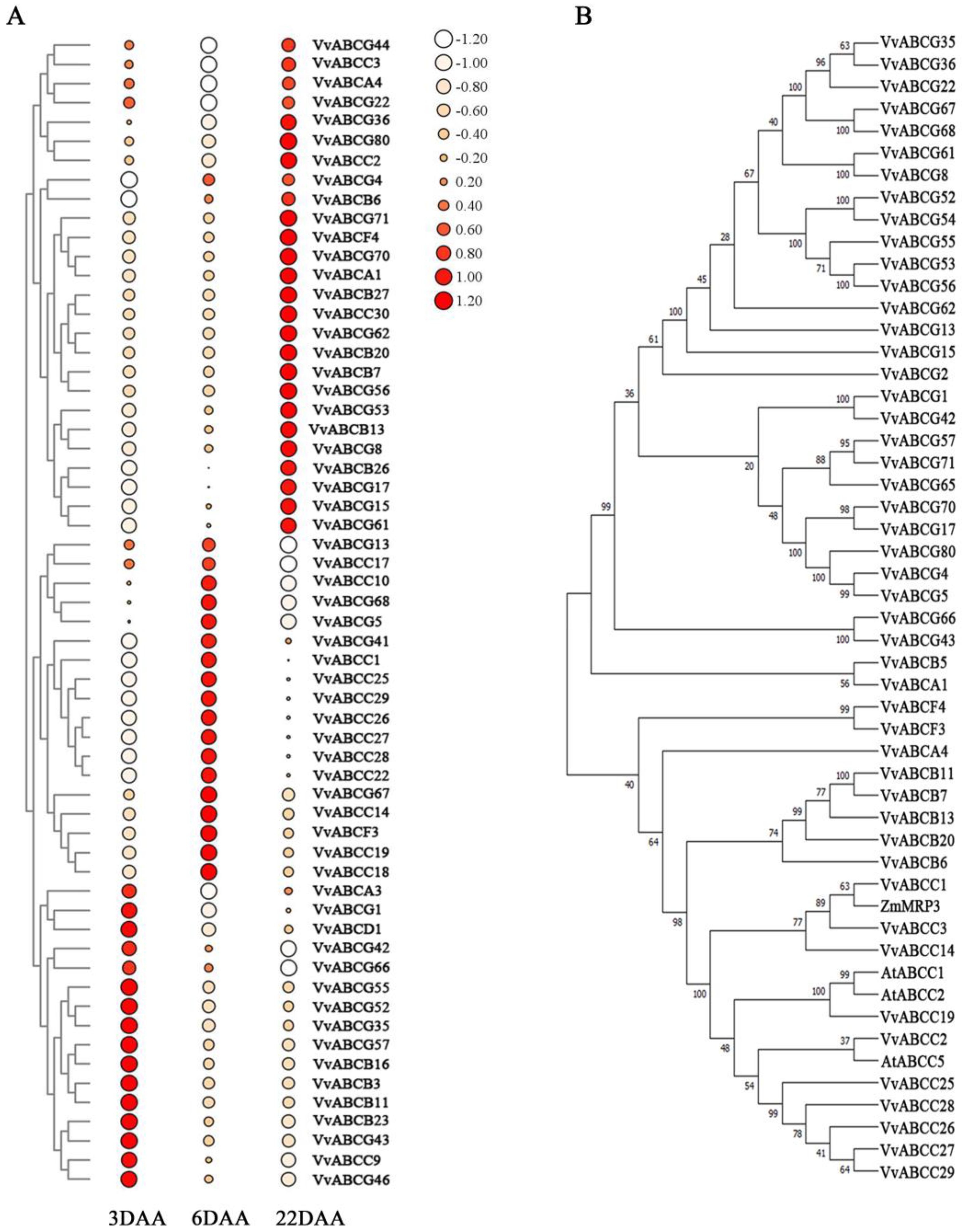 Horticulturae 09 00532 g007 Horticulturae 09 00532 g007