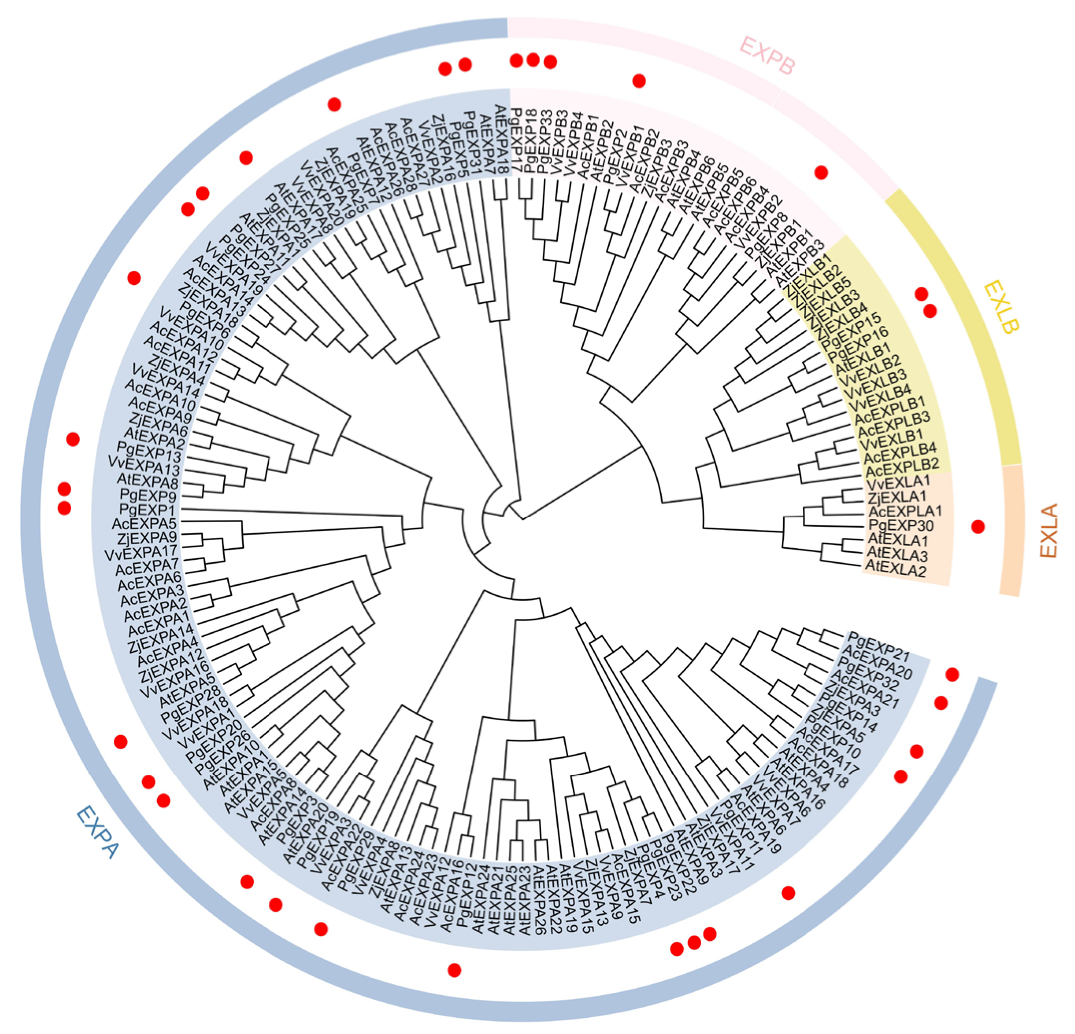 Horticulturae 09 00539 g001