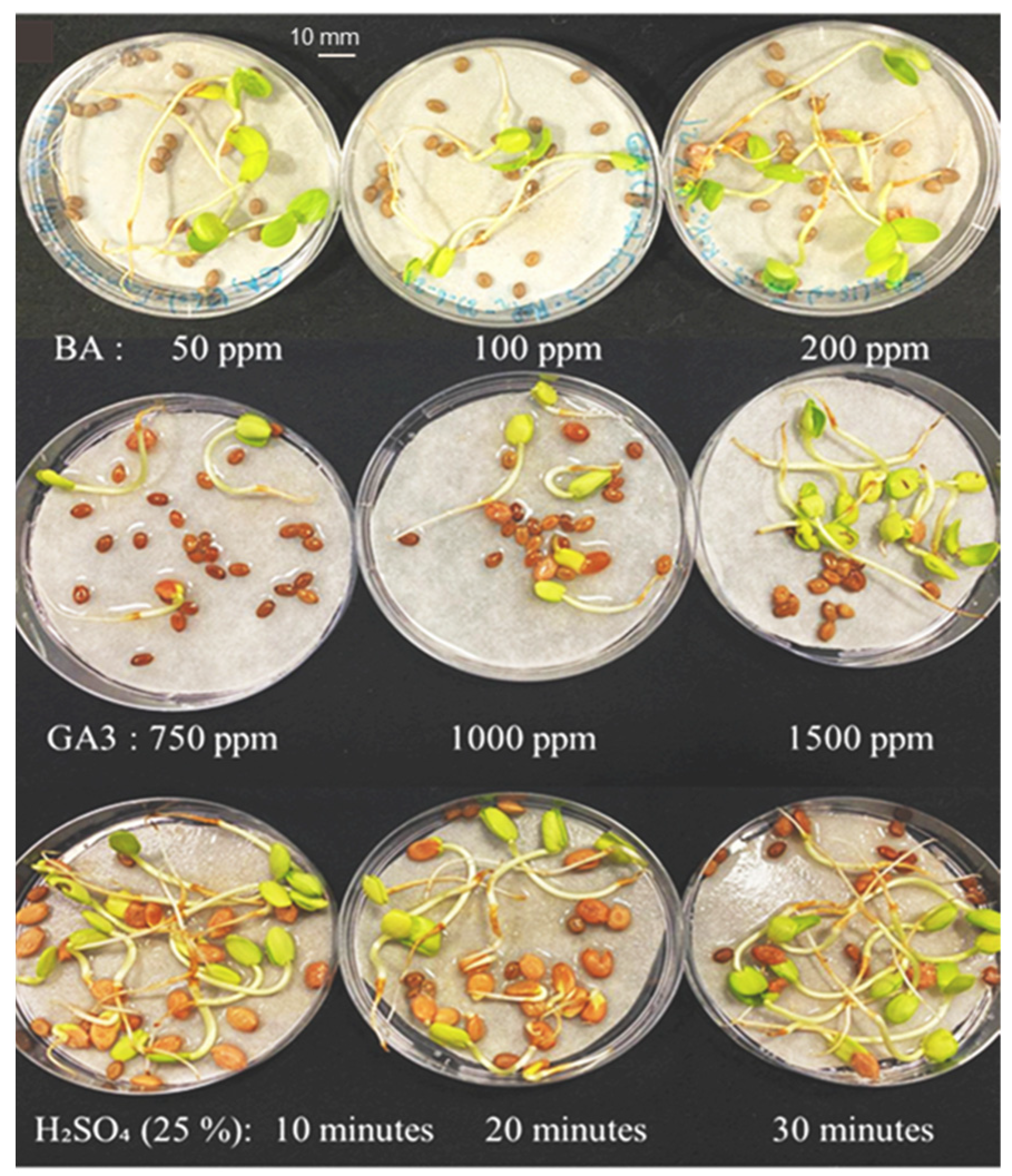 Horticulturae 09 00542 g003