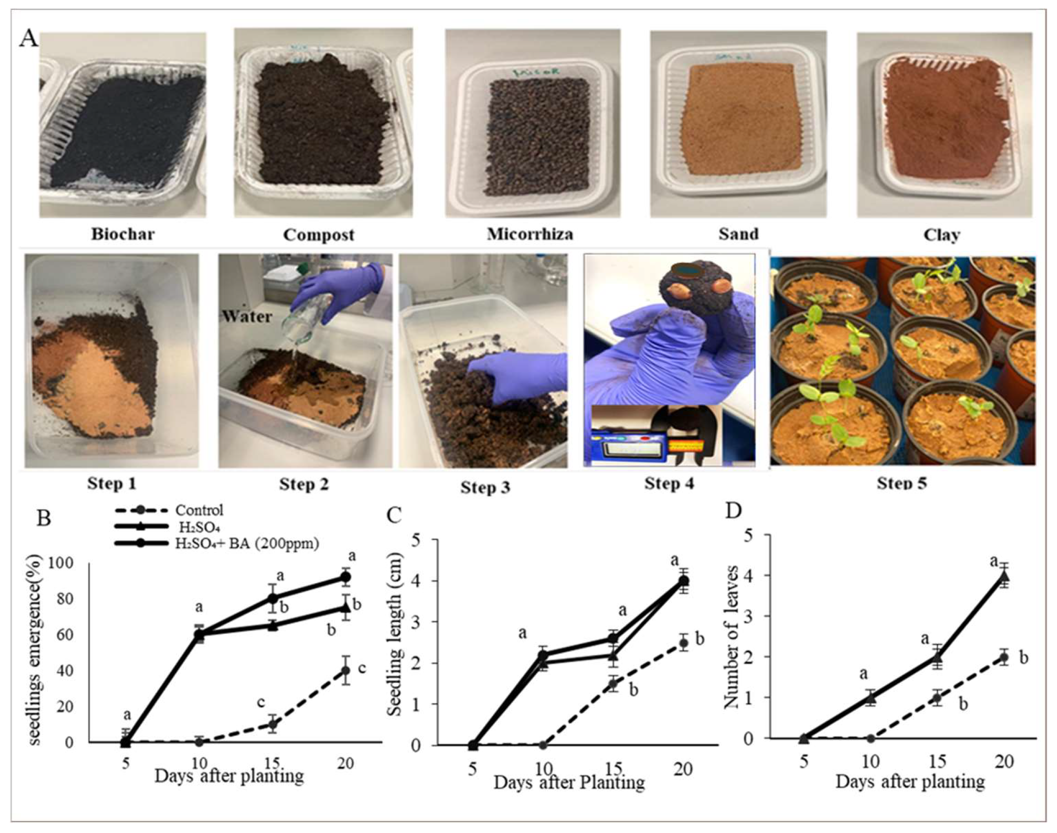 Horticulturae 09 00542 g005