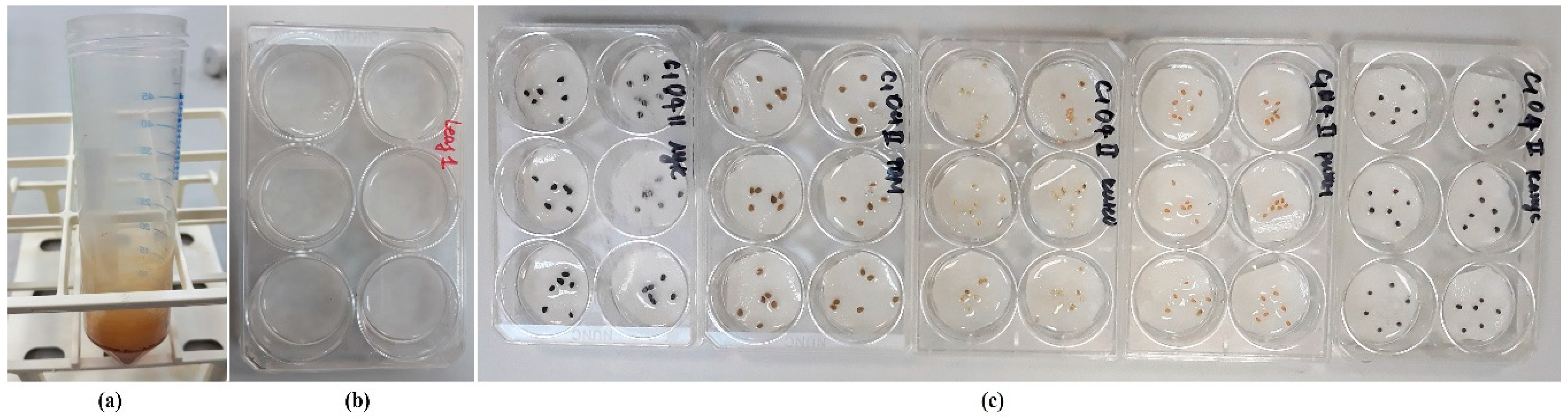 Horticulturae 09 00554 g002 Horticulturae 09 00554 g002