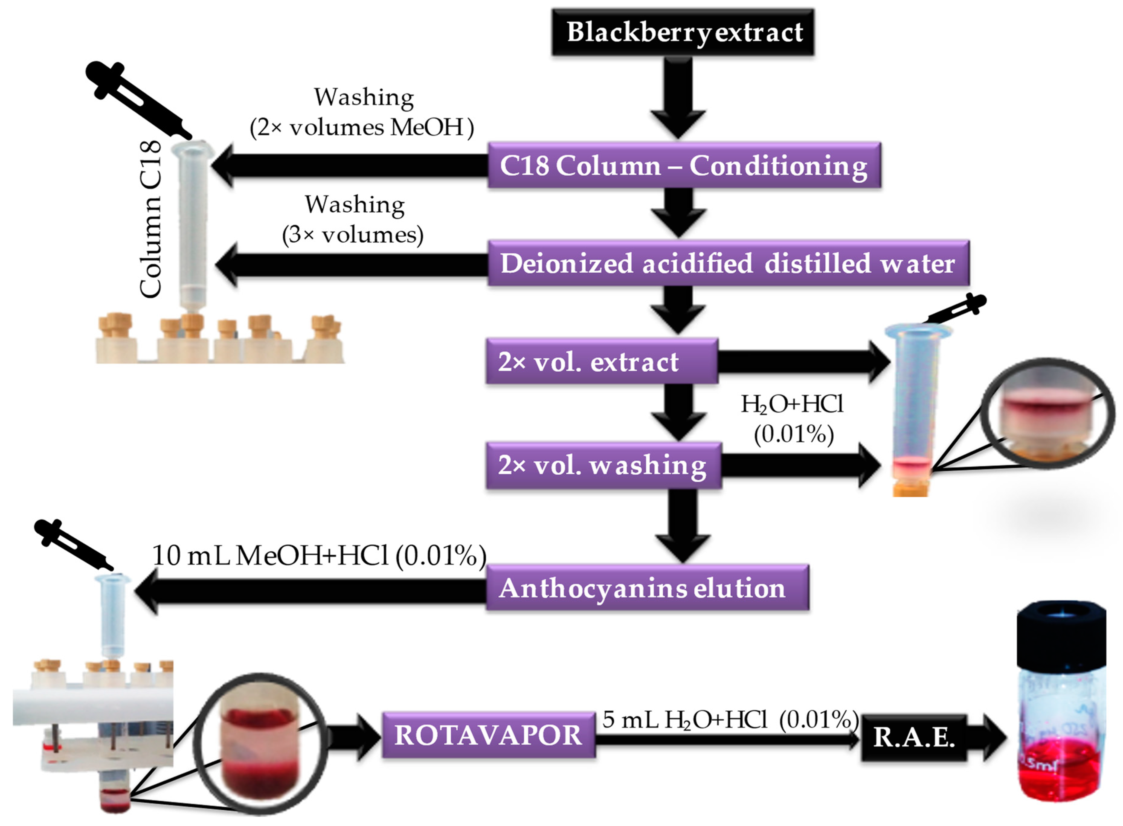 Horticulturae 09 00556 g001 Horticulturae 09 00556 g001