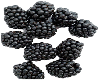 Horticulturae 09 00556 i001 Horticulturae 09 00556 i001