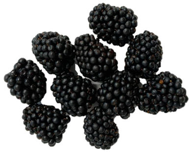 Horticulturae 09 00556 i002 Horticulturae 09 00556 i002