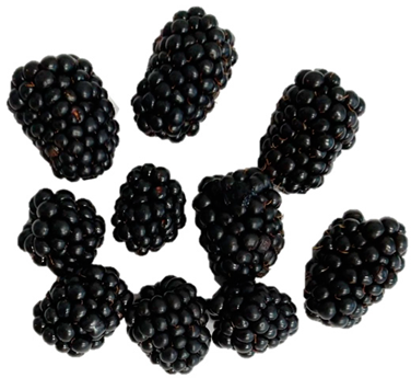 Horticulturae 09 00556 i004 Horticulturae 09 00556 i004