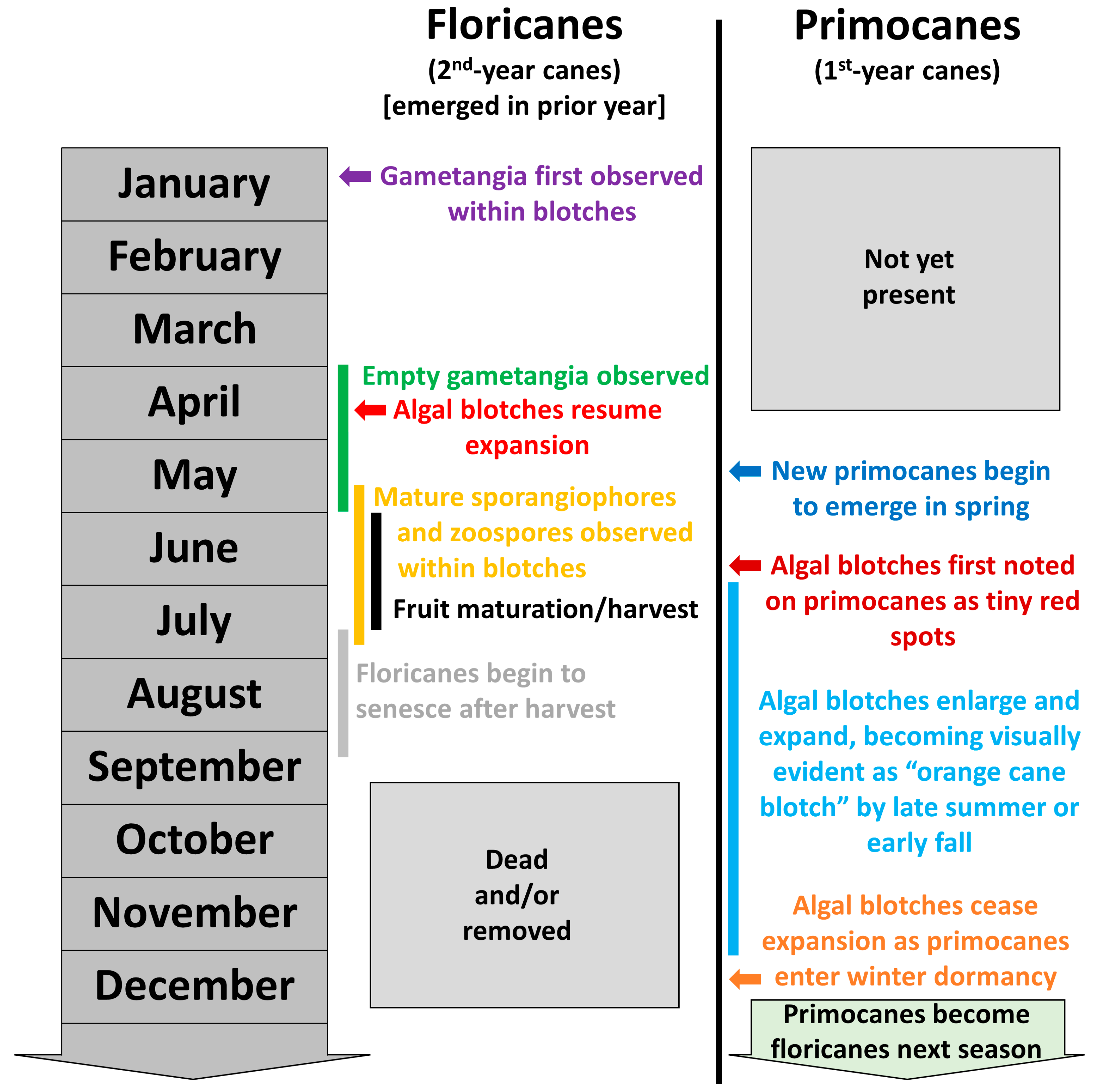 Horticulturae 09 00565 g003 Horticulturae 09 00565 g003
