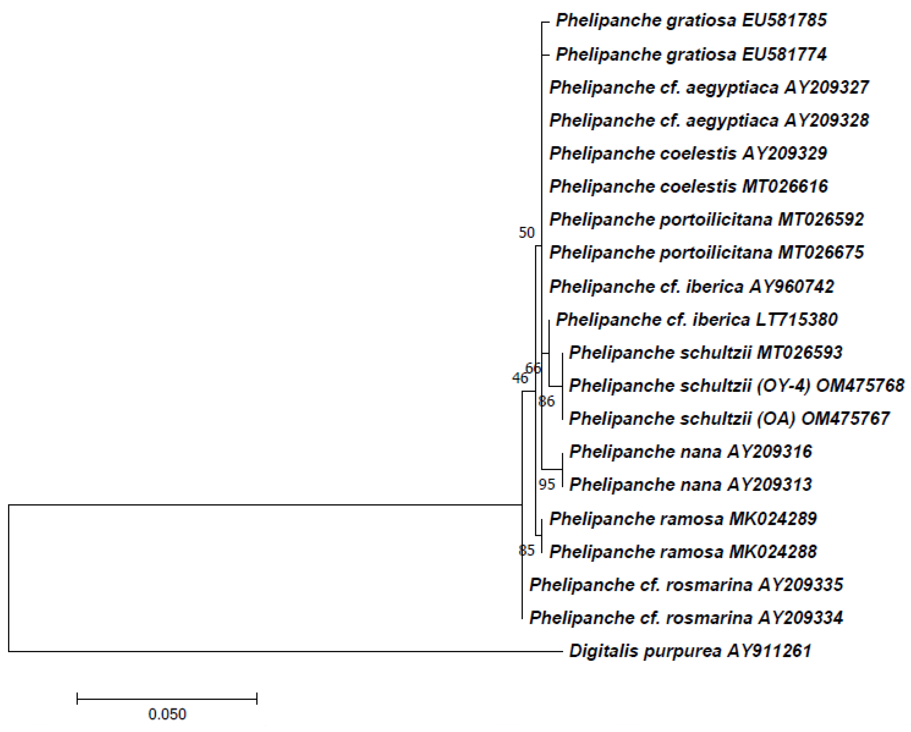 Horticulturae 09 00567 g004