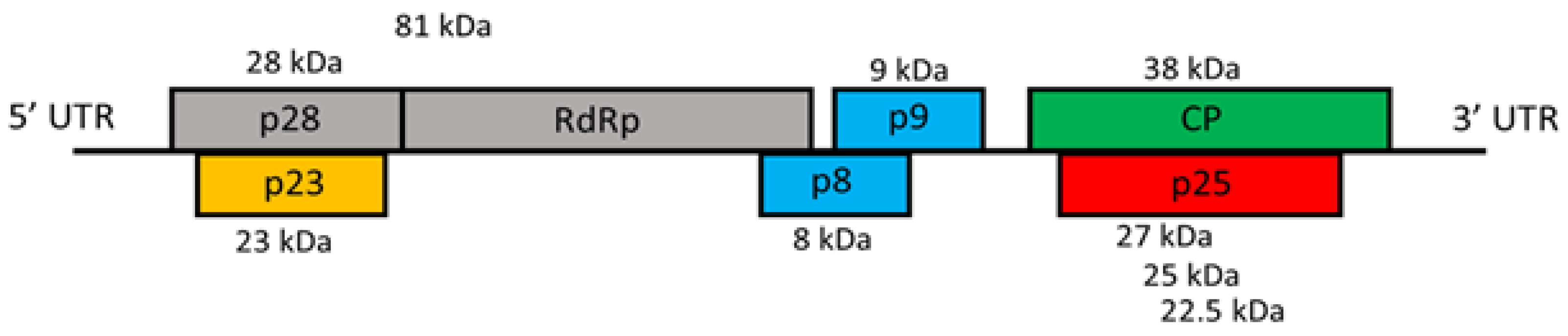 Horticulturae 09 00569 g001 Horticulturae 09 00569 g001