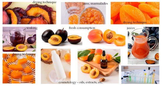 Research-Gap-Spotting in Plum–Apricot Hybrids&amp;mdash 