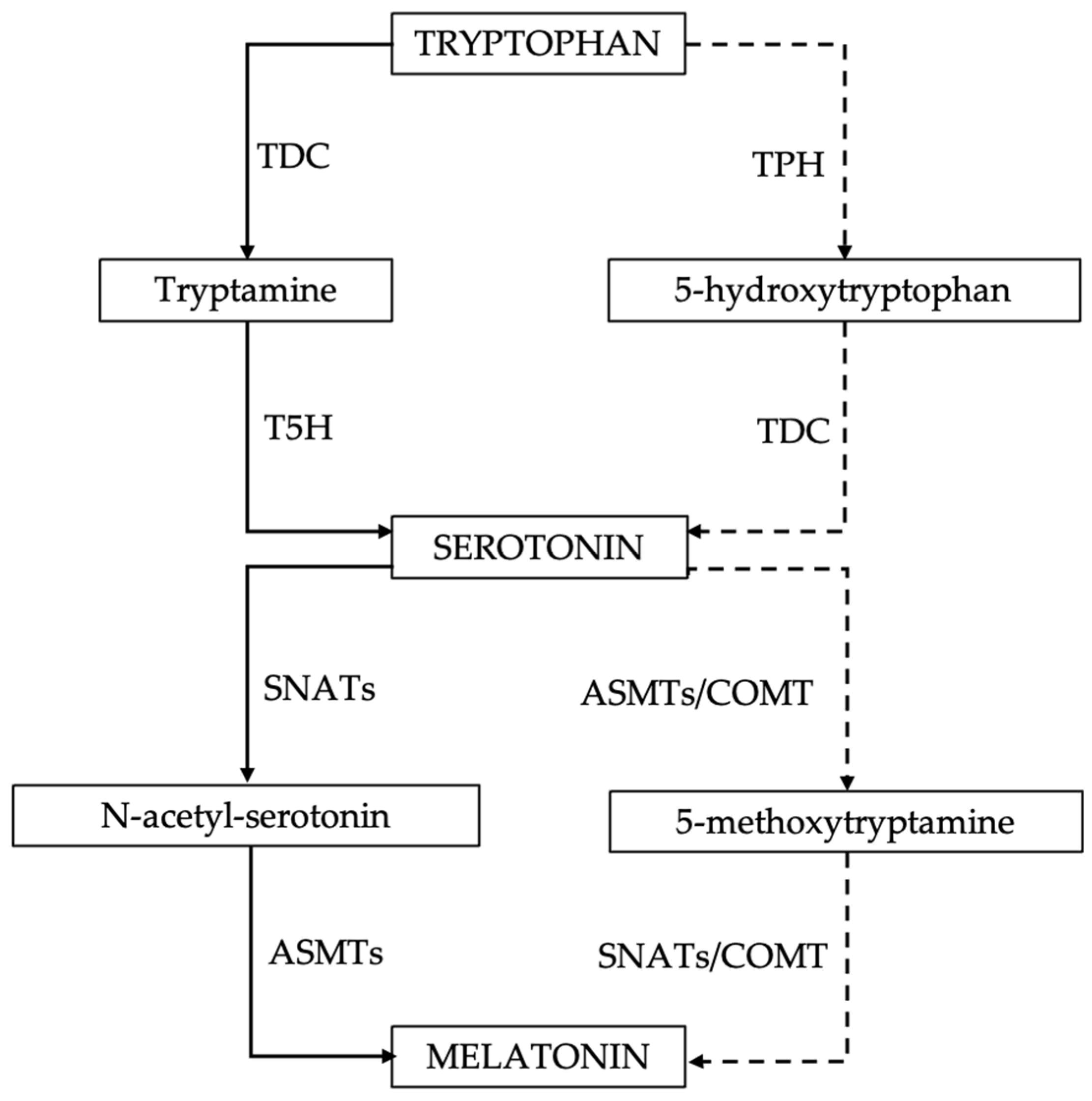 Horticulturae 09 00586 g001