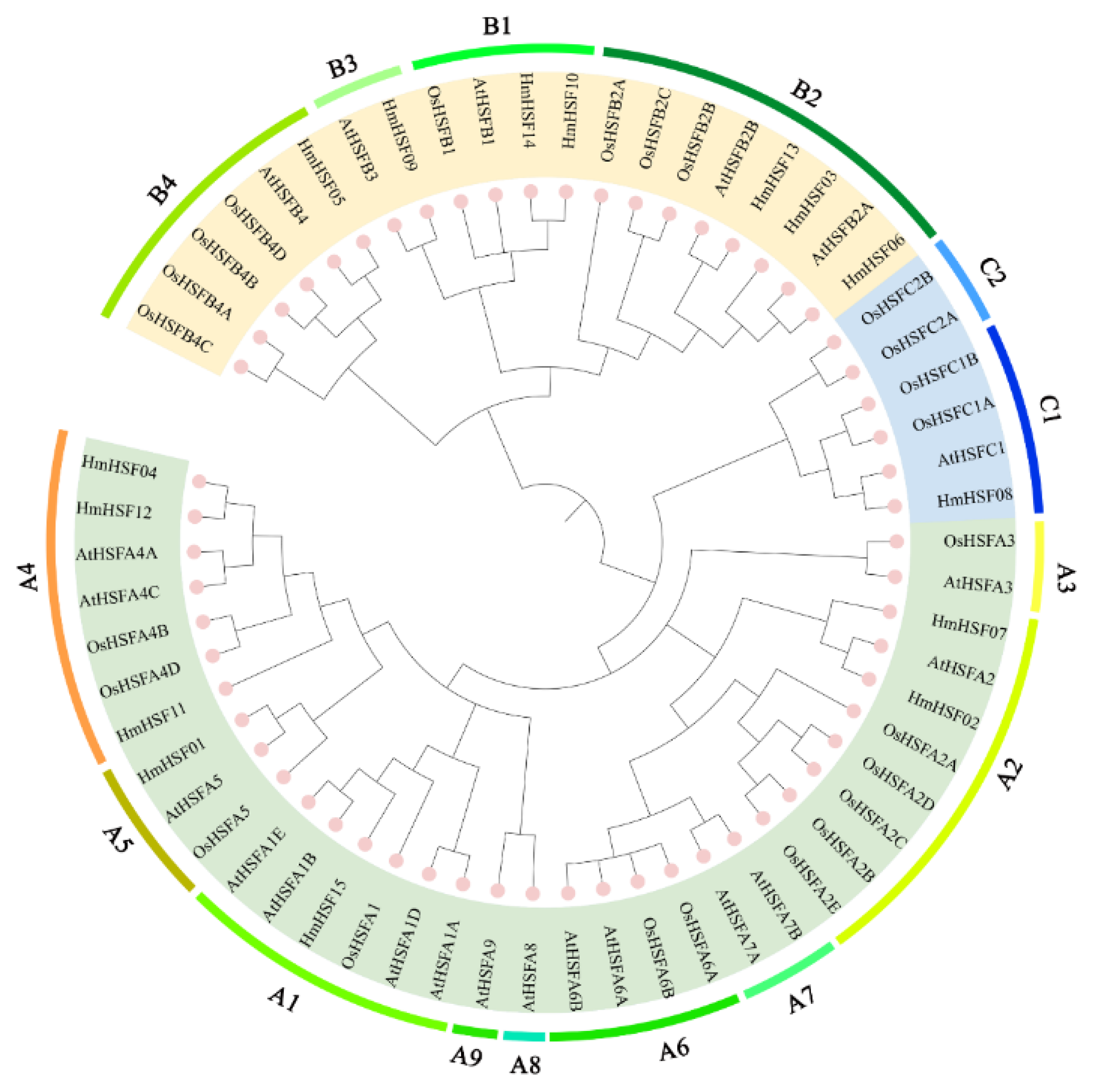 Horticulturae 09 00588 g002