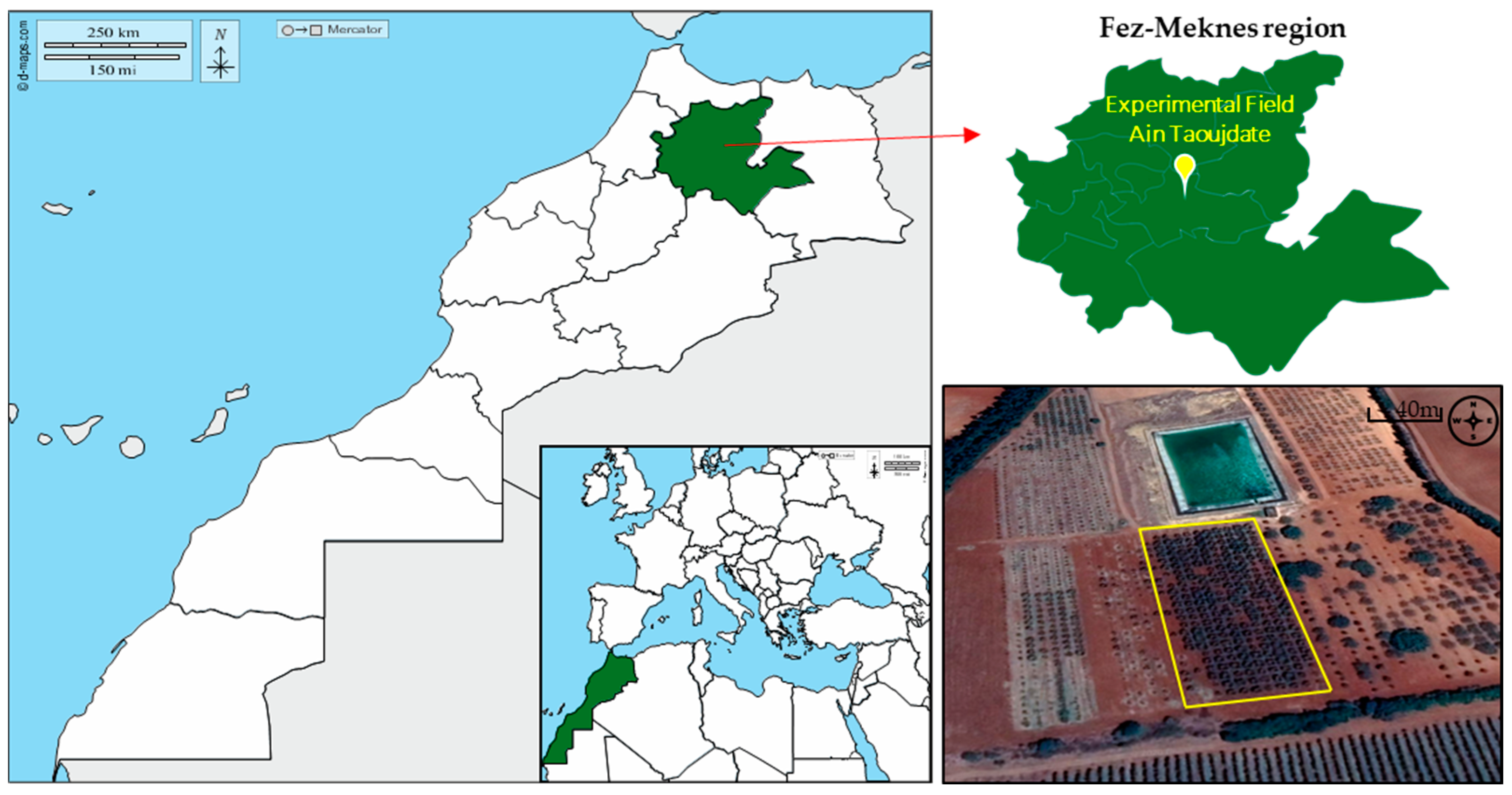 Horticulturae 09 00589 g001