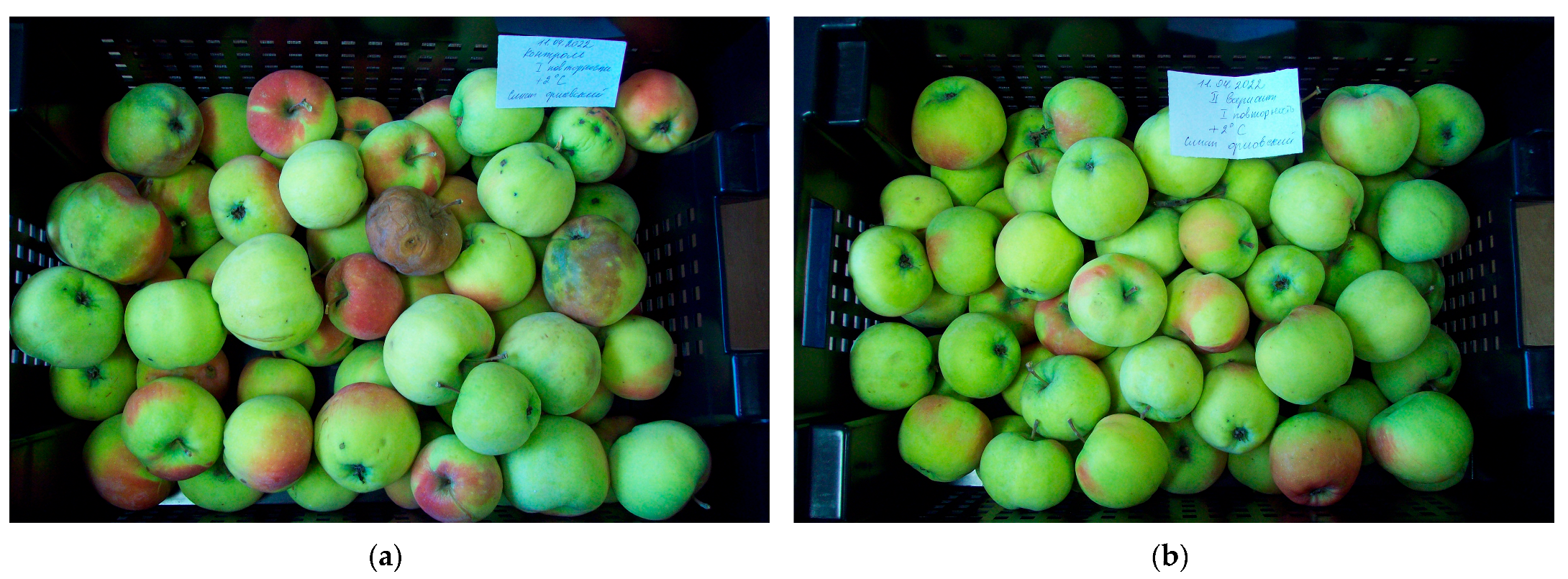 Horticulturae 09 00591 g013