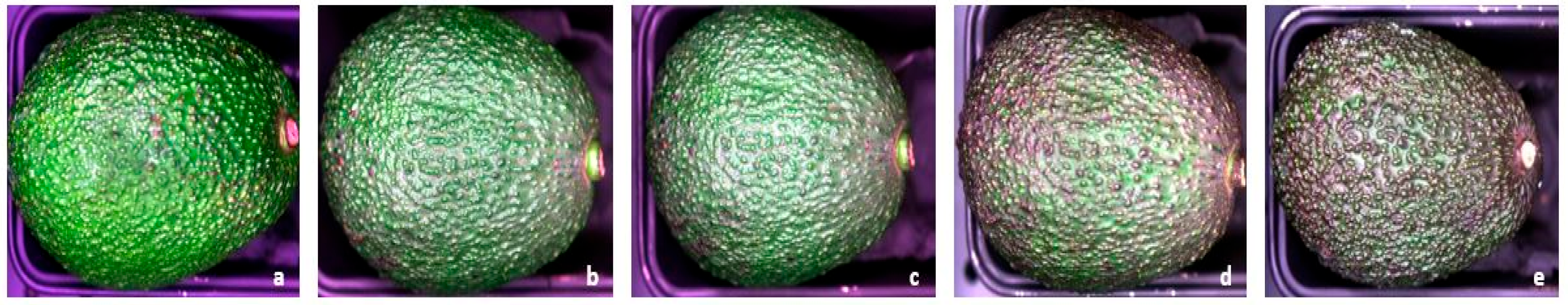 Horticulturae 09 00599 g001