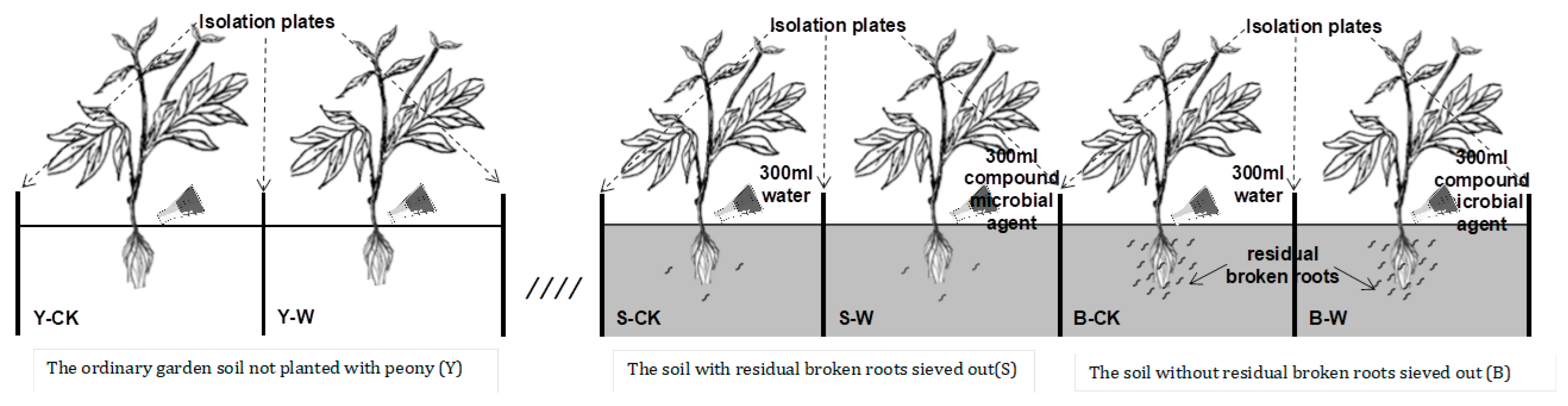 Horticulturae 09 00602 g001 Horticulturae 09 00602 g001