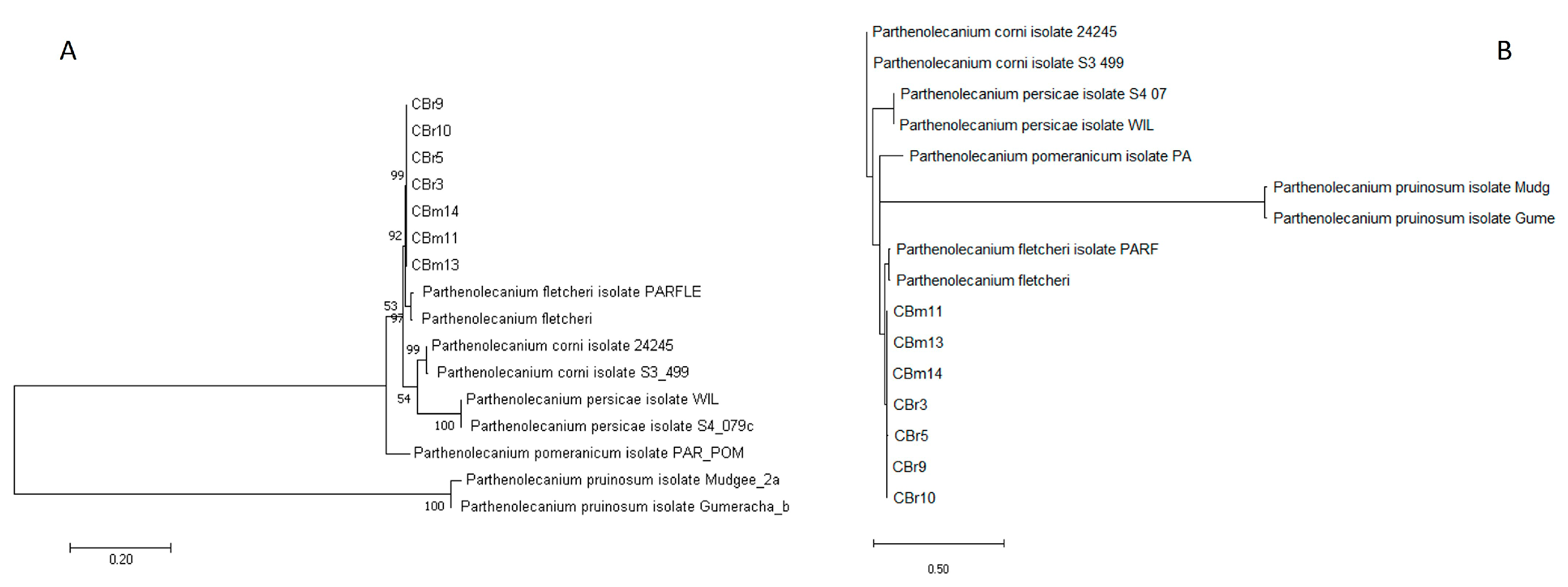 Horticulturae 09 00604 g001