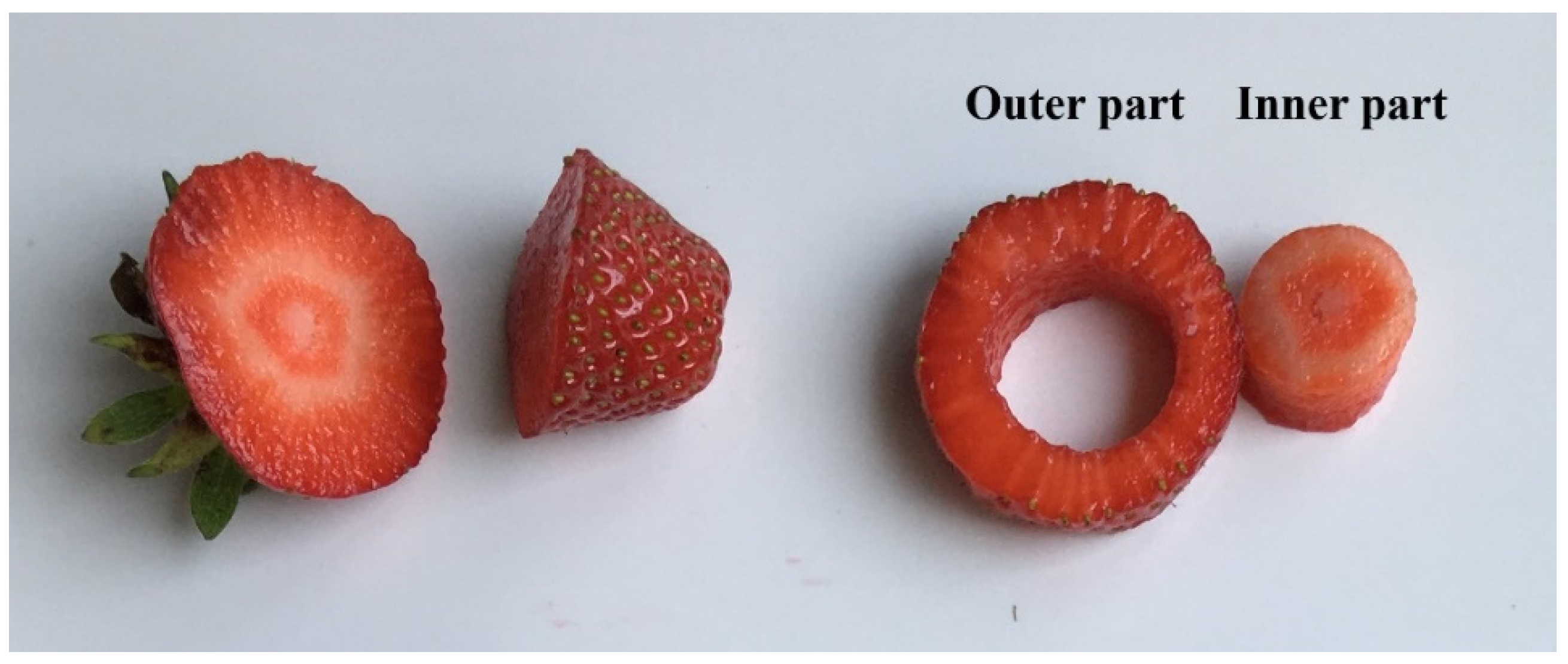 Horticulturae 09 00605 g001