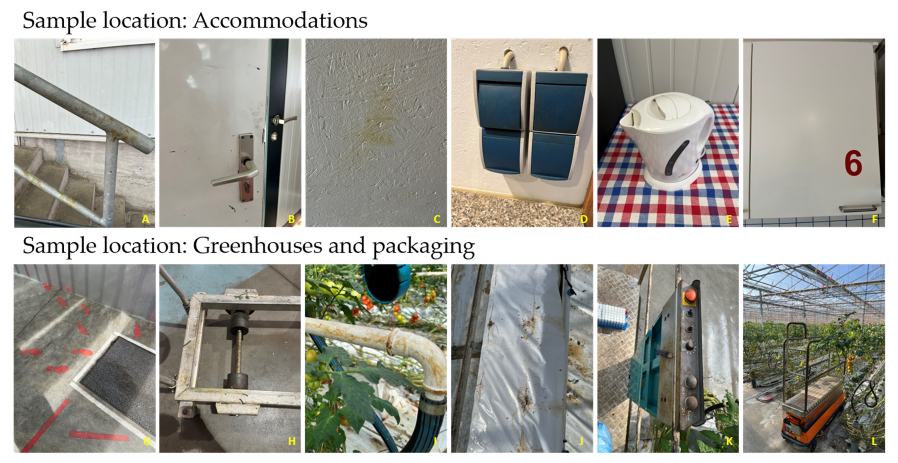 Horticulturae 09 00611 g003 Horticulturae 09 00611 g003