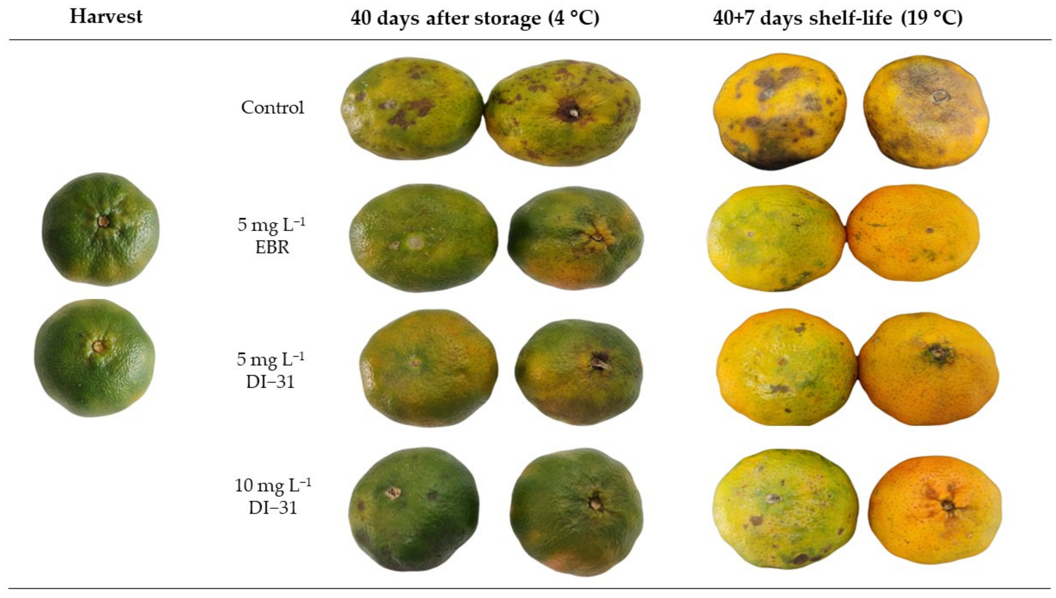 Horticulturae 09 00622 g003 Horticulturae 09 00622 g003