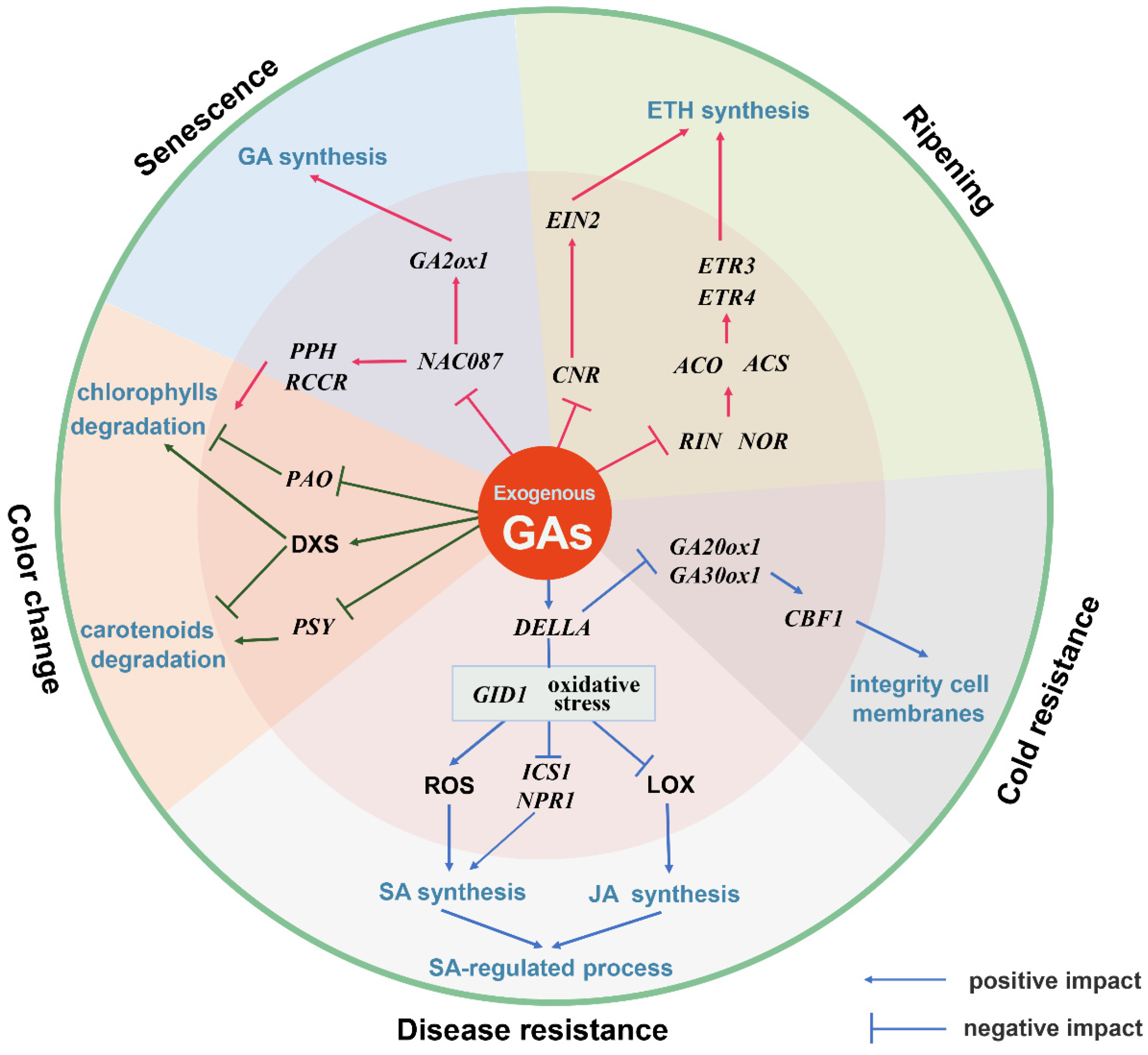 Horticulturae 09 00625 g001 Horticulturae 09 00625 g001