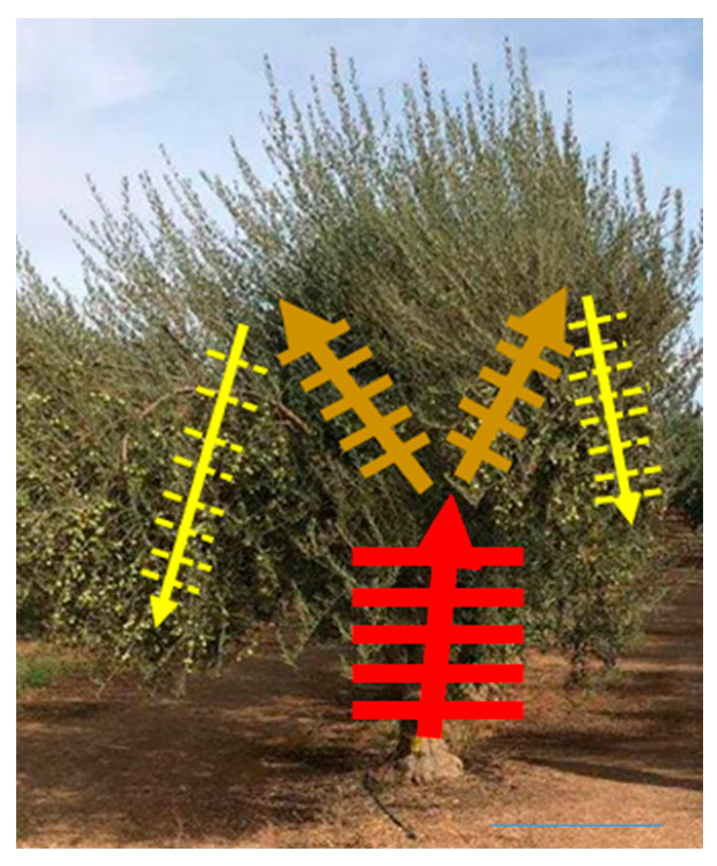 Horticulturae 09 00640 g002